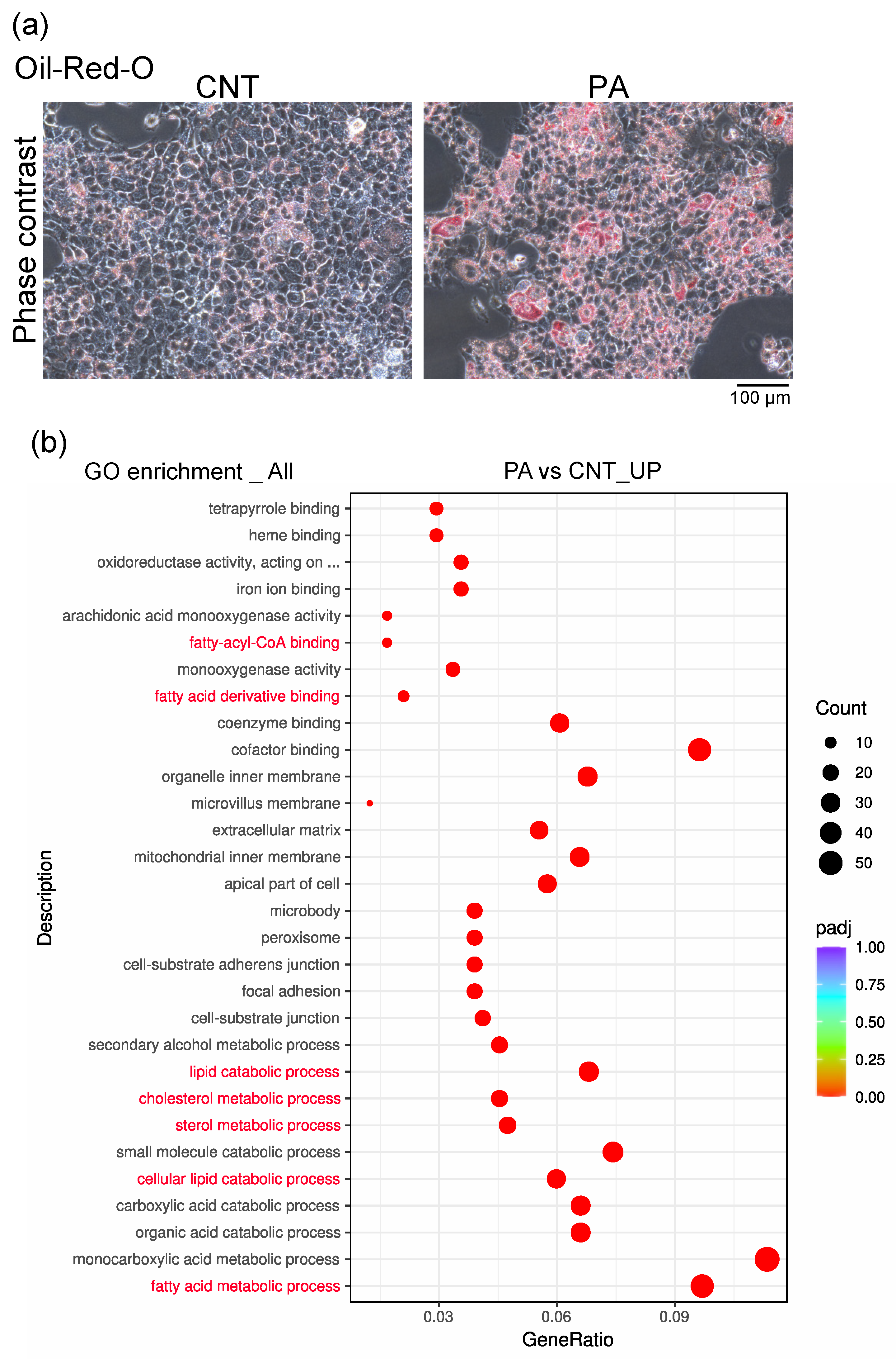 Membranes 12 01023 g002