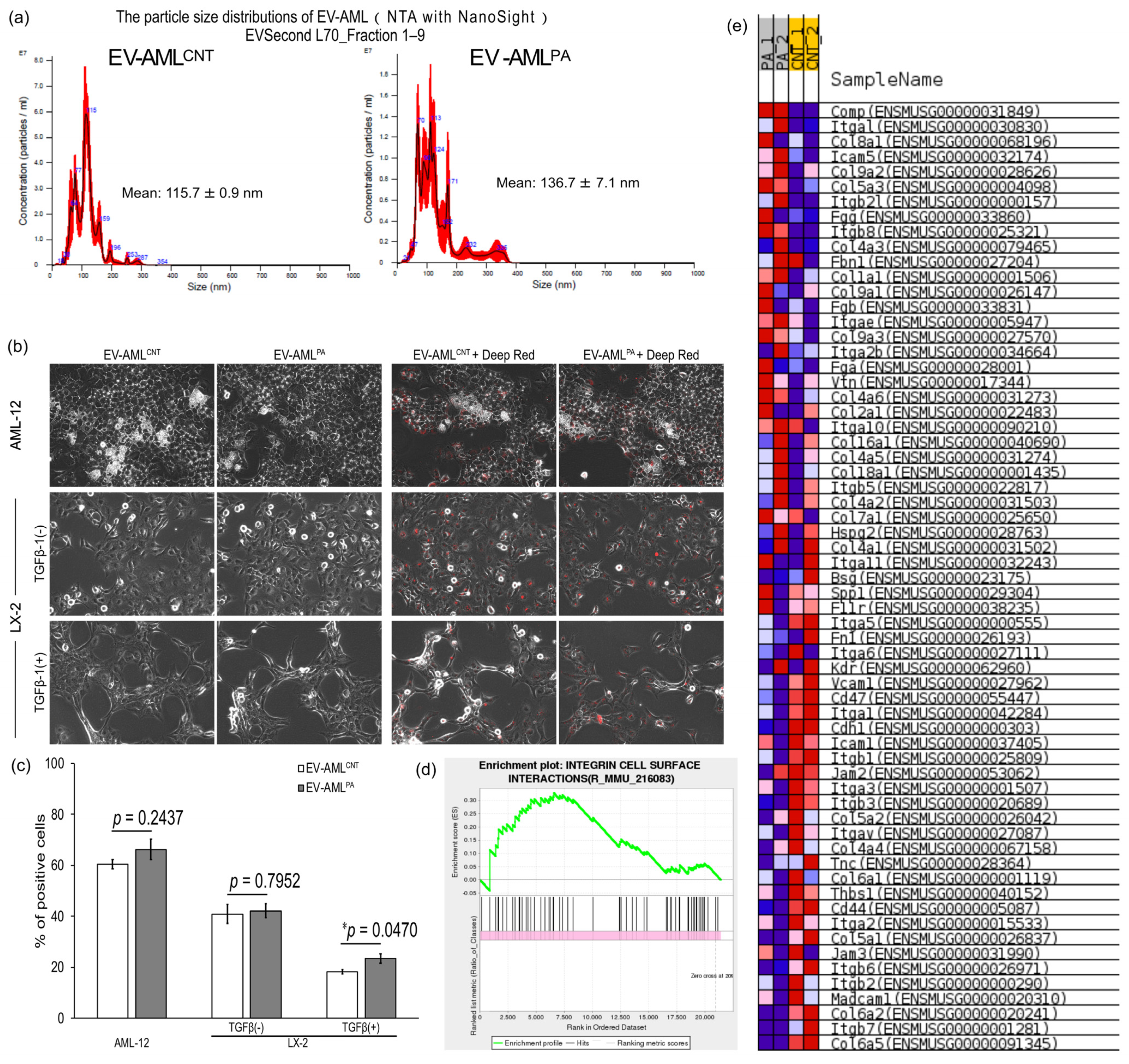 Membranes 12 01023 g003