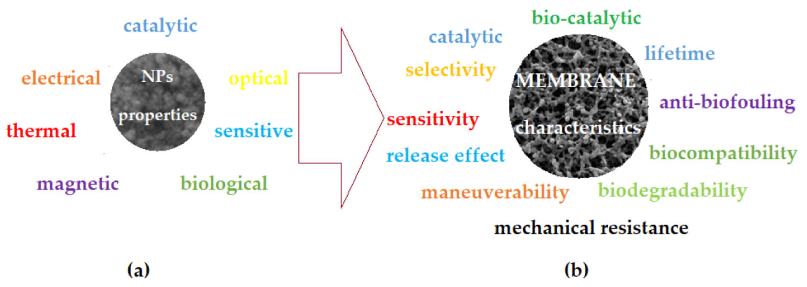 Membranes 12 01024 g001 Membranes 12 01024 g001