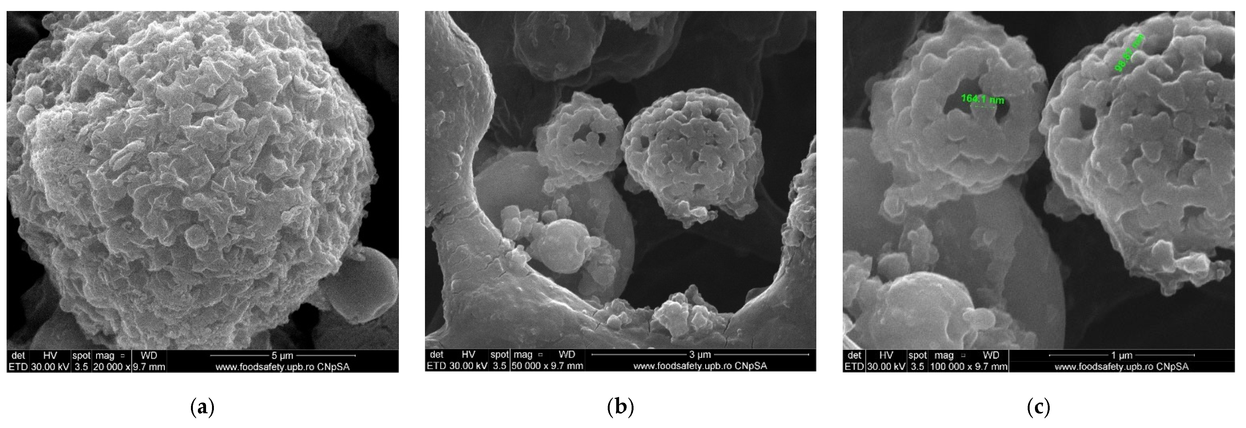 Membranes 12 01024 g006 Membranes 12 01024 g006