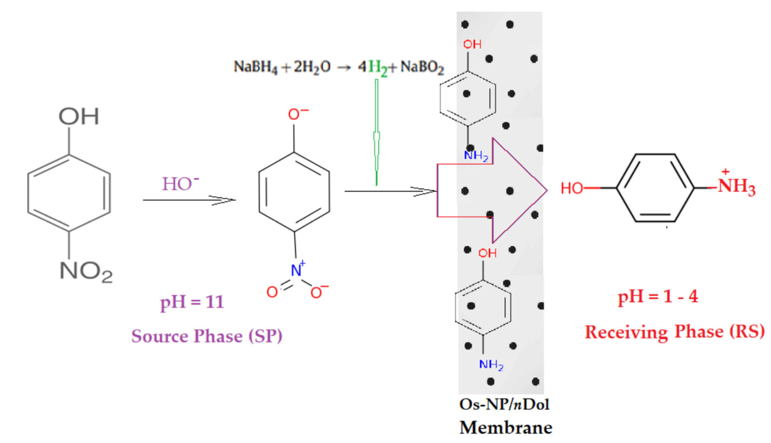 Membranes 12 01024 g013 Membranes 12 01024 g013