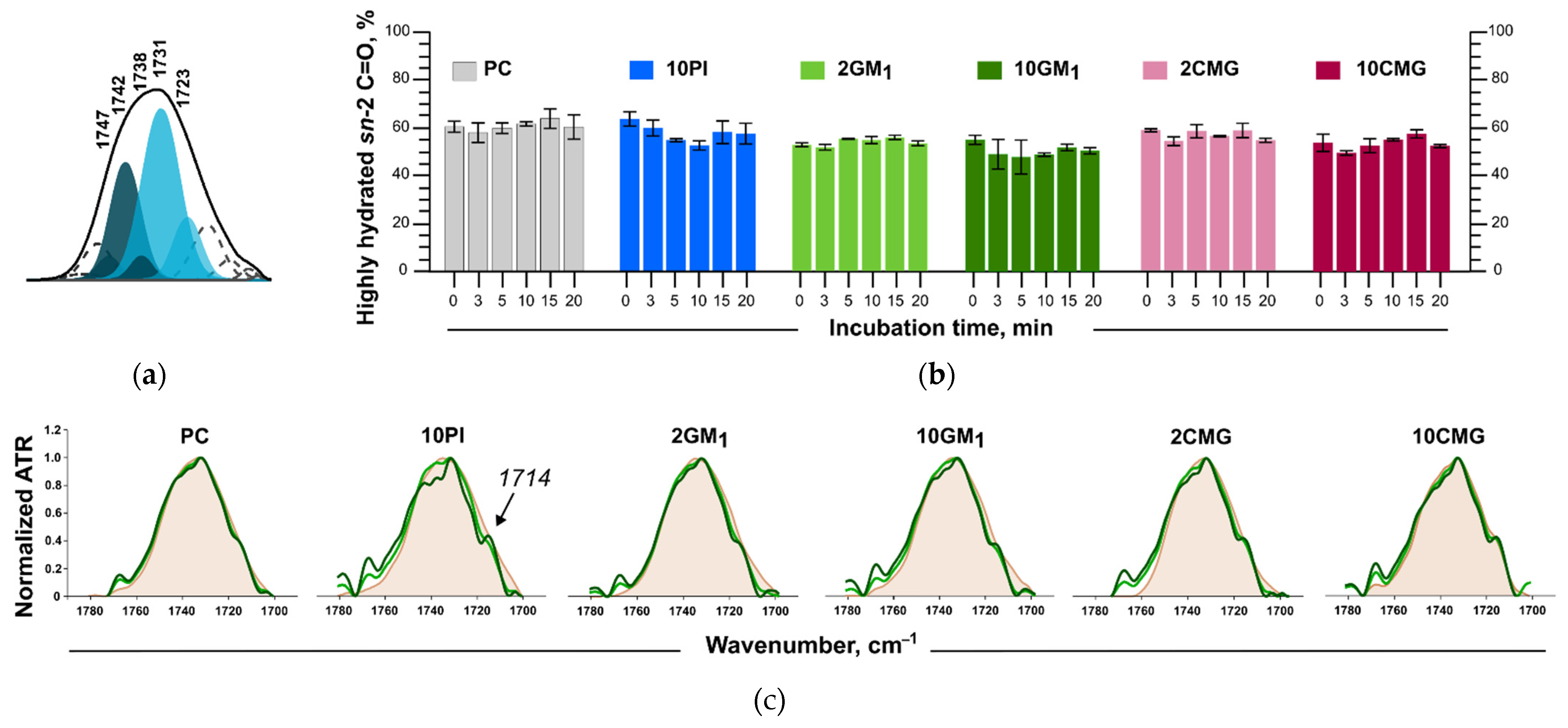 Membranes 12 01031 g008