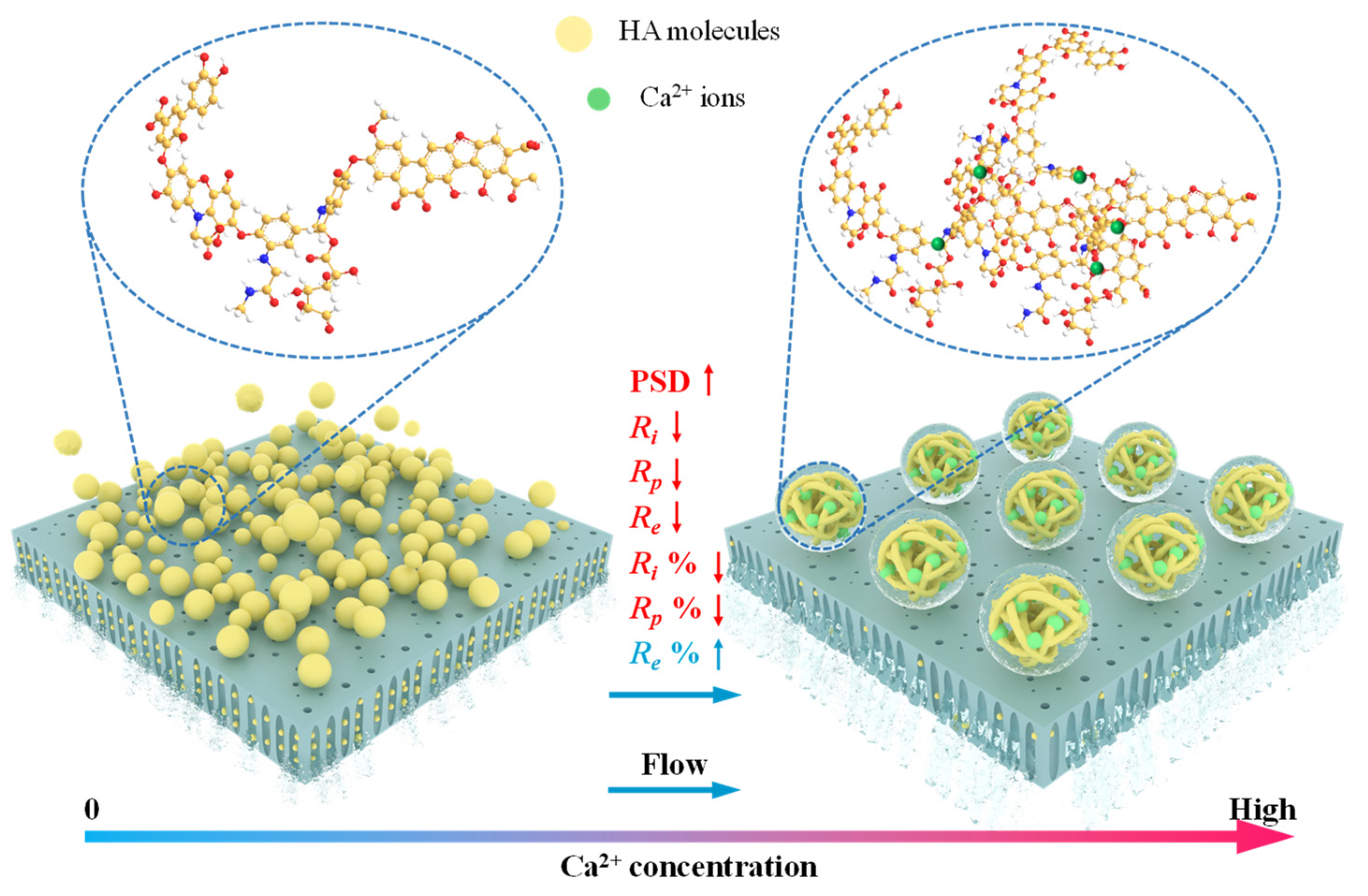 Membranes 12 01033 g008