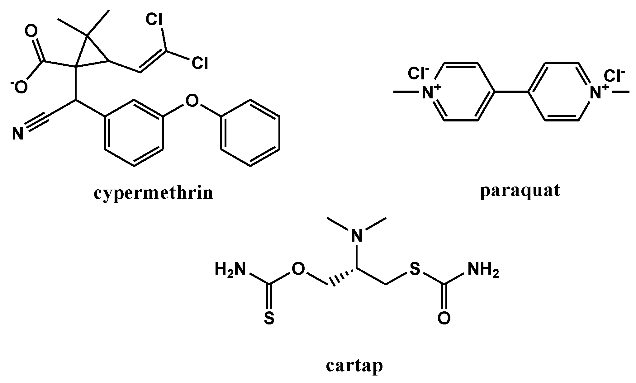 Membranes 12 01035 g001