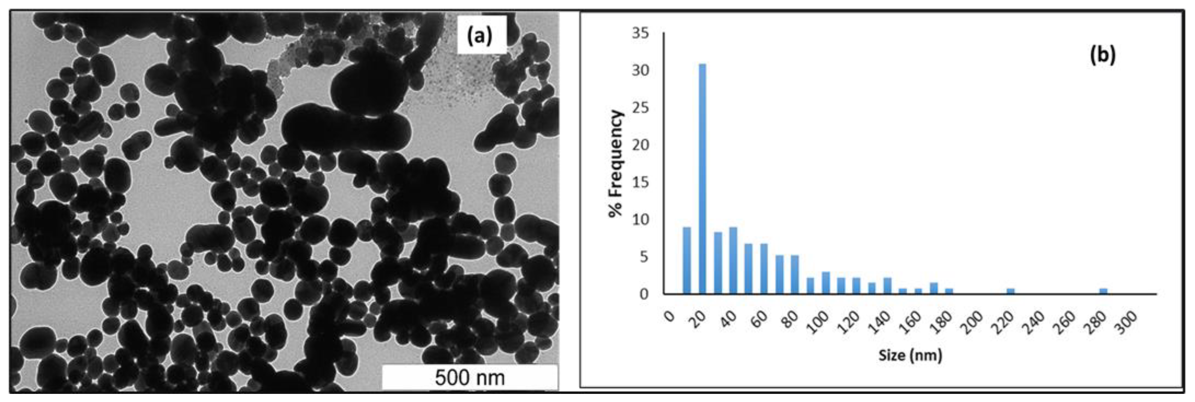 Membranes 12 01035 g003