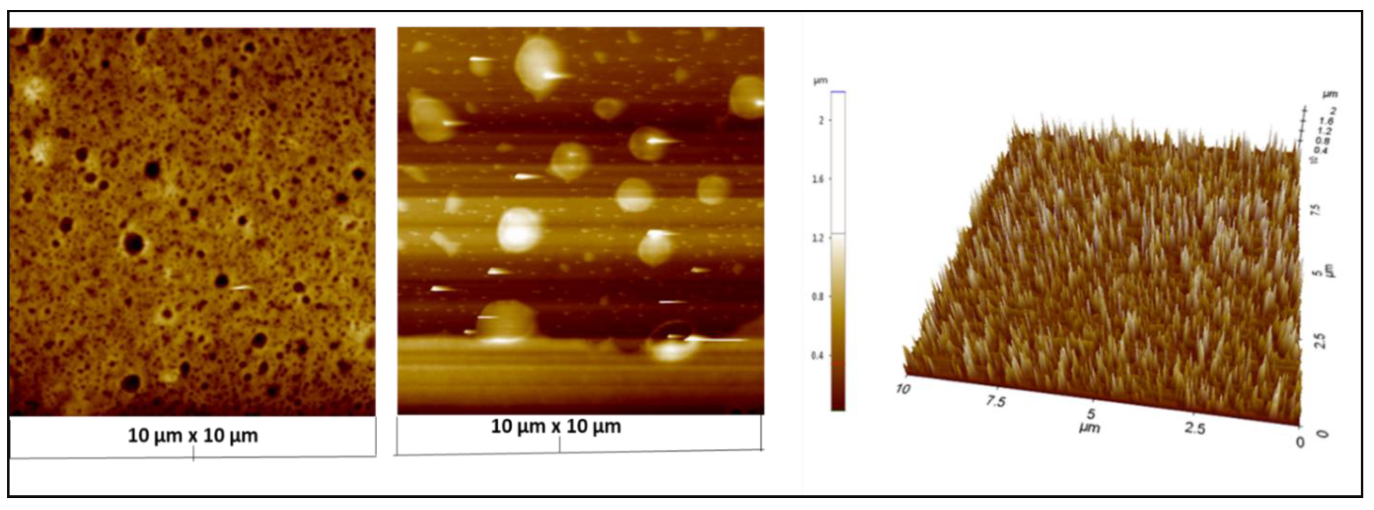 Membranes 12 01035 g006