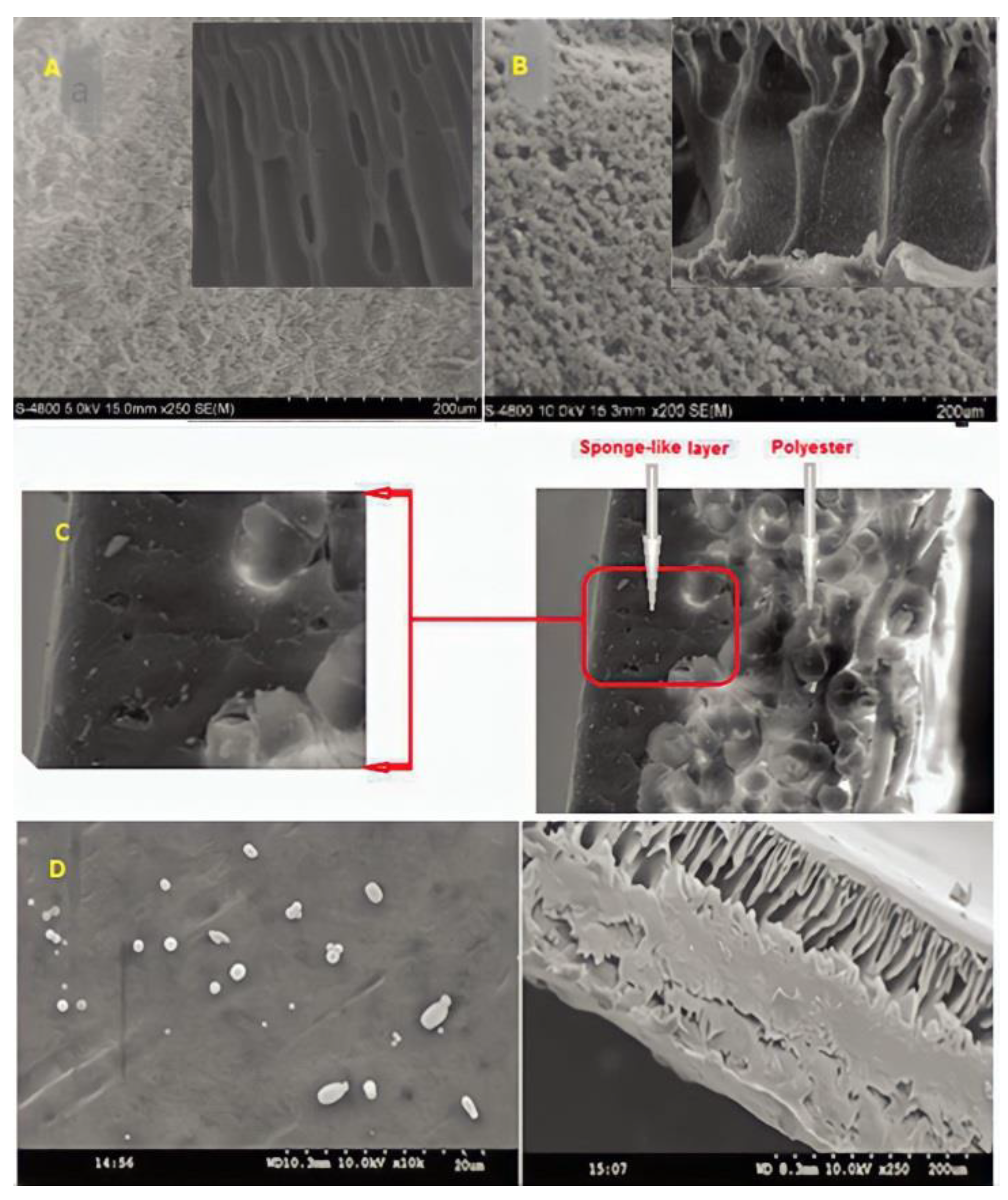 Membranes 12 01043 g006