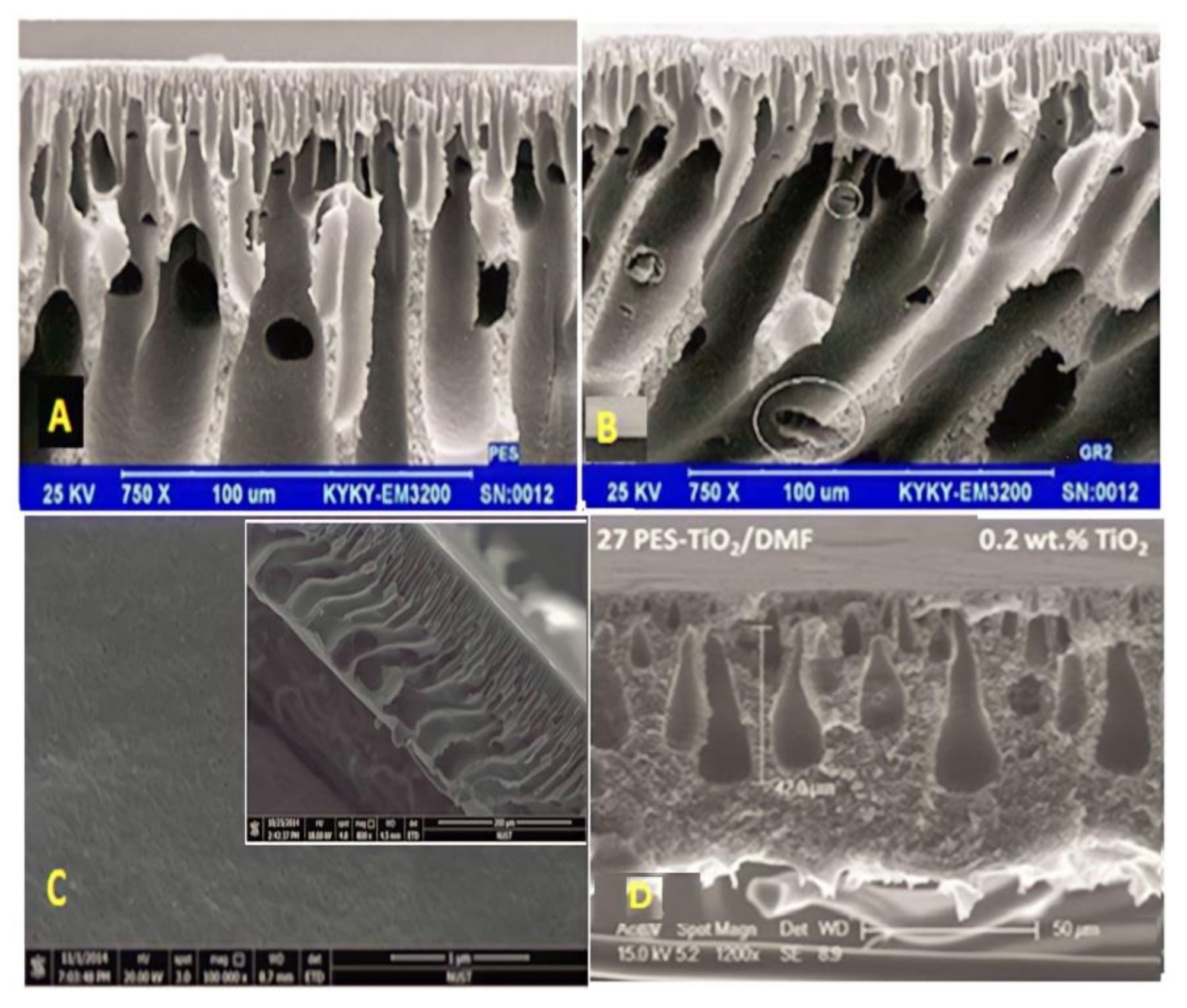 Membranes 12 01043 g007