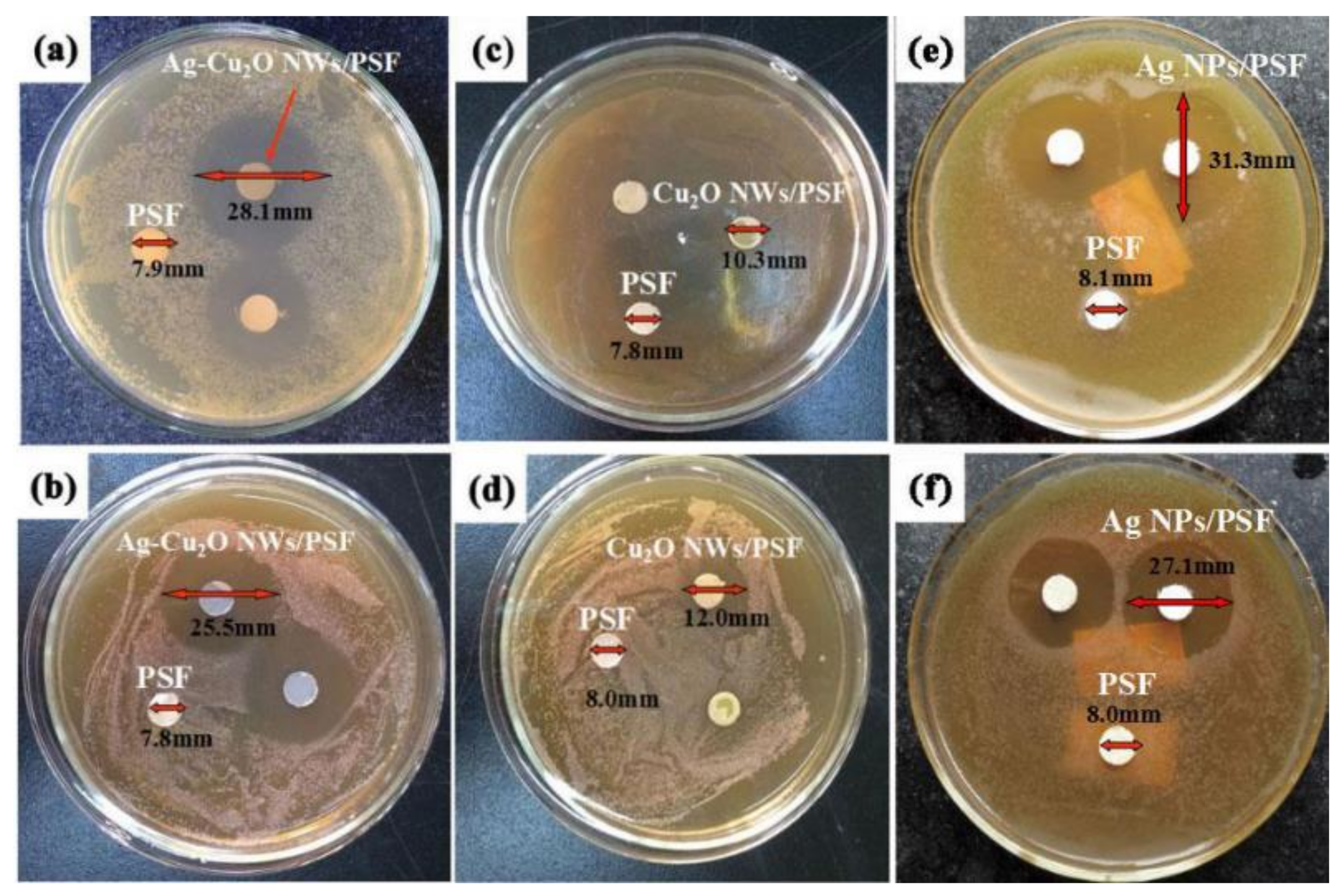 Membranes 12 01043 g012