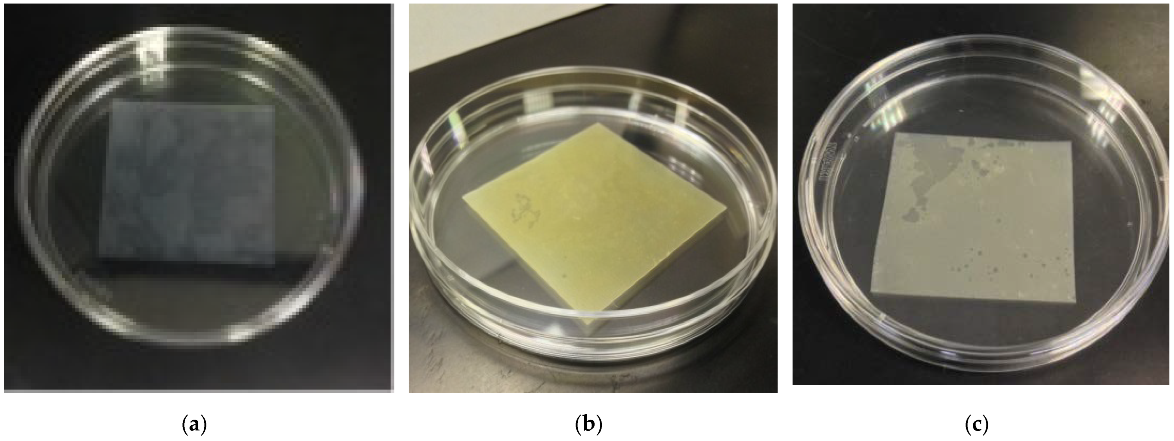 Membranes 12 01049 g001