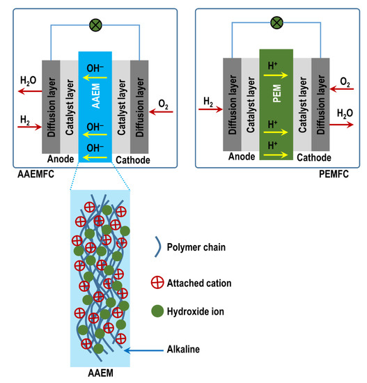 Membranes Free FullText Computational Approaches to Alkaline Anion
