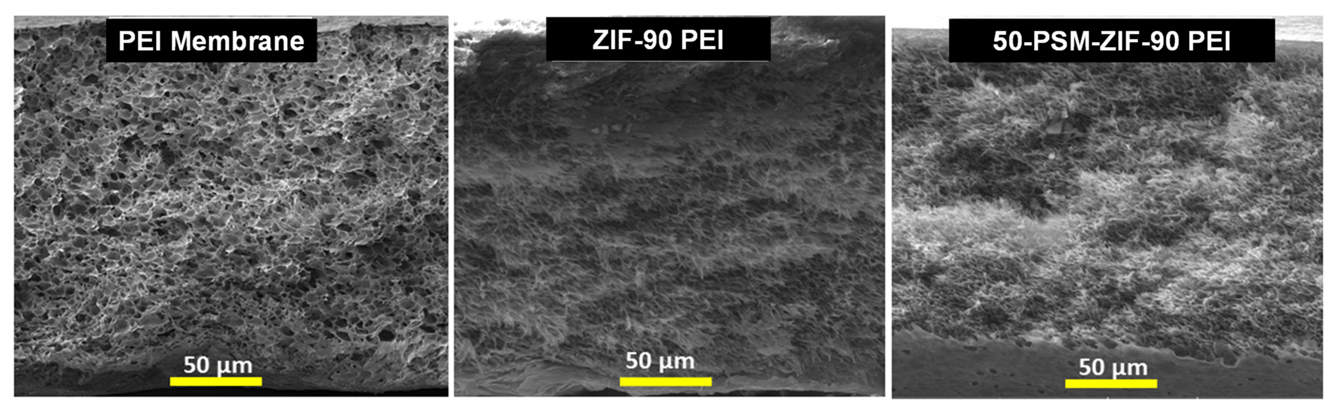 Membranes 12 01055 g008 Membranes 12 01055 g008