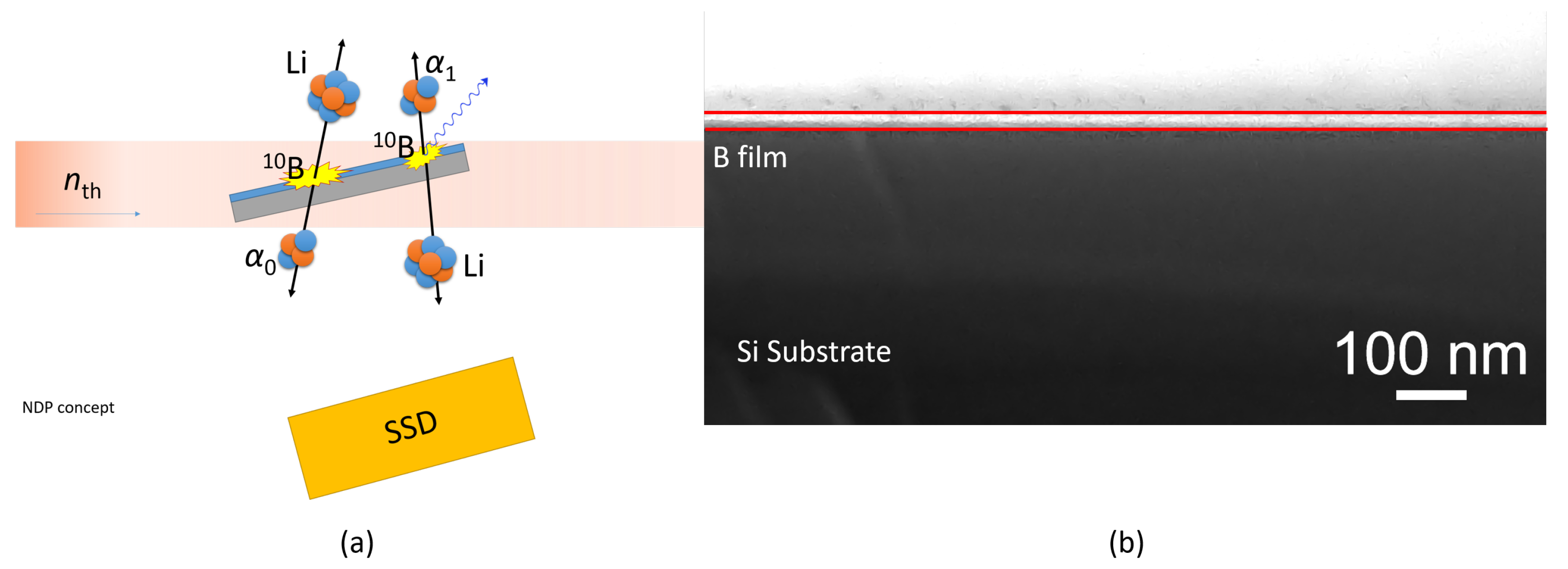Membranes 12 01061 g003 Membranes 12 01061 g003