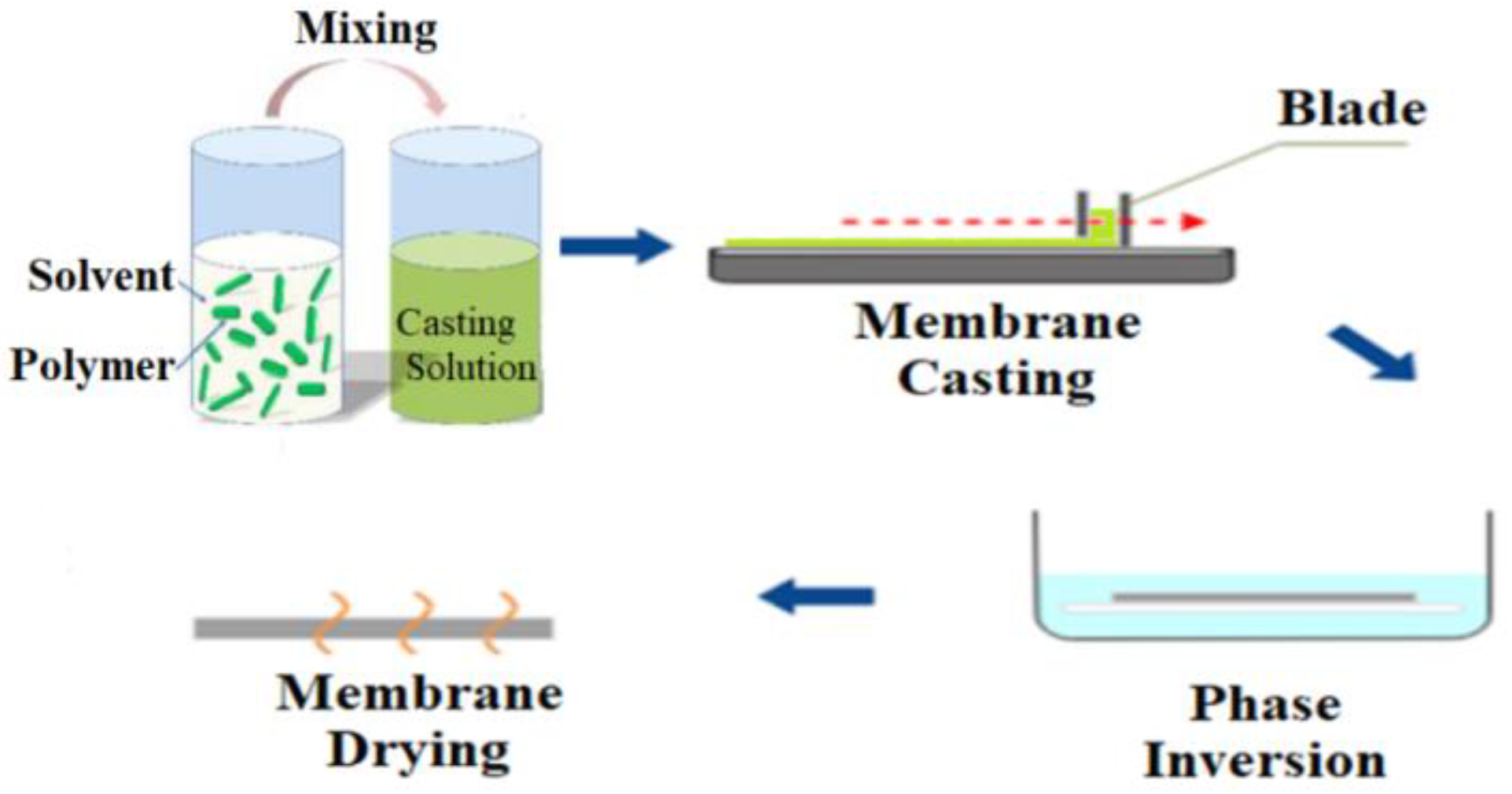 Membranes 12 01063 g001