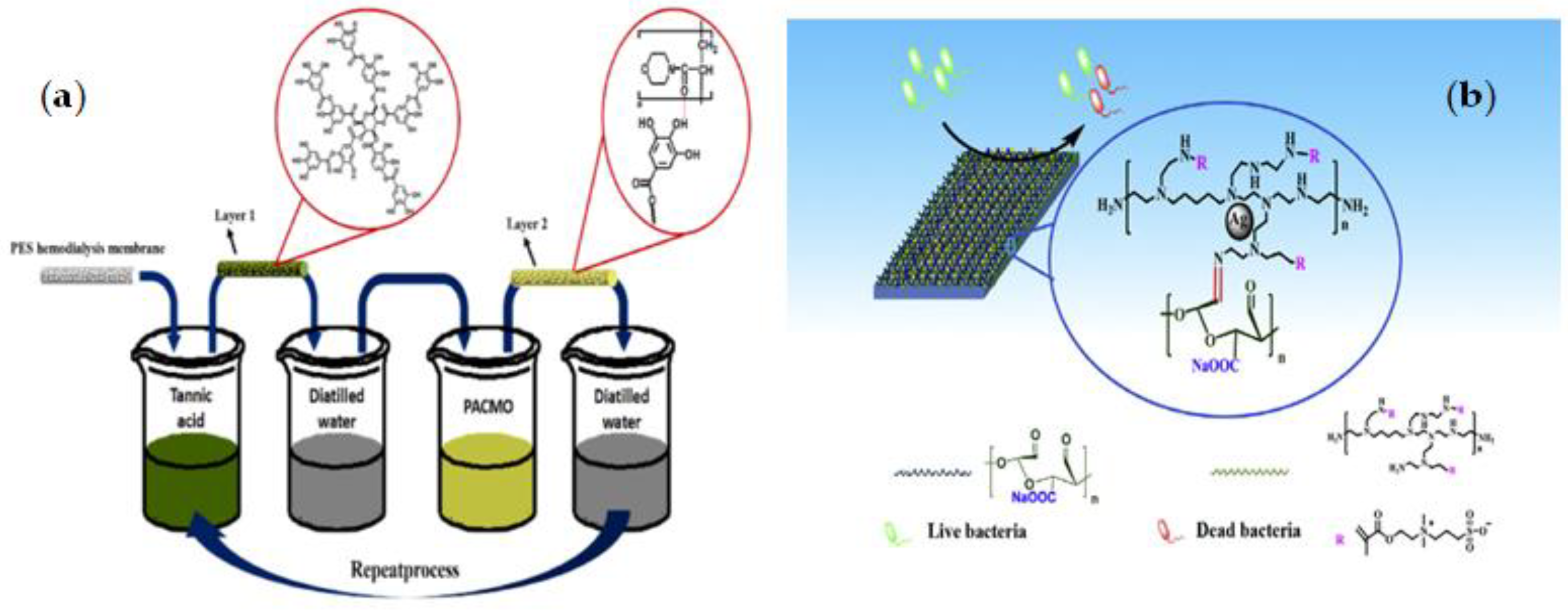 Membranes 12 01063 g005