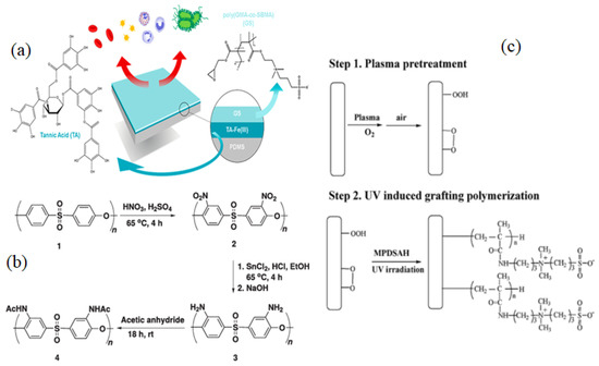 Impact of Membrane Modification and Surface Immobilization Techniques ...