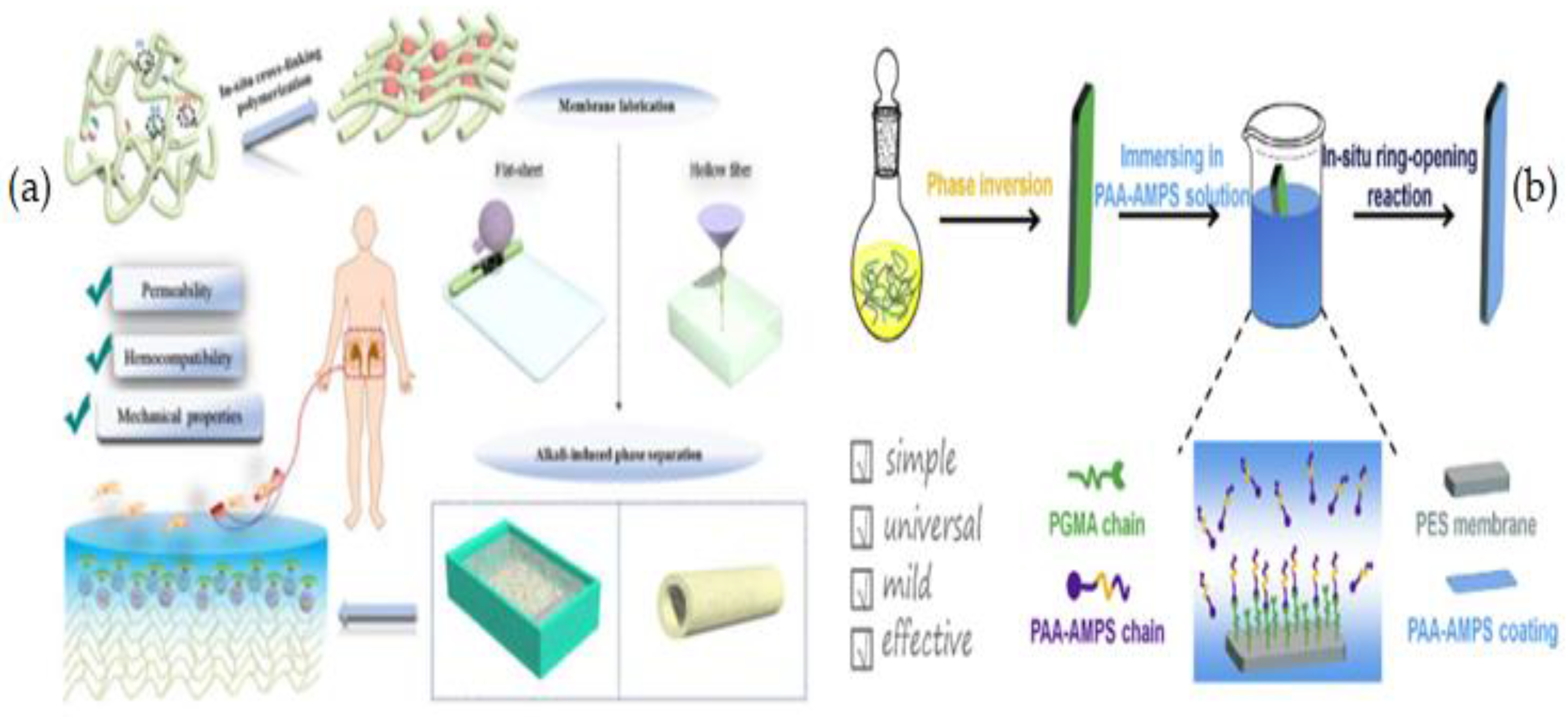 Membranes 12 01063 g013