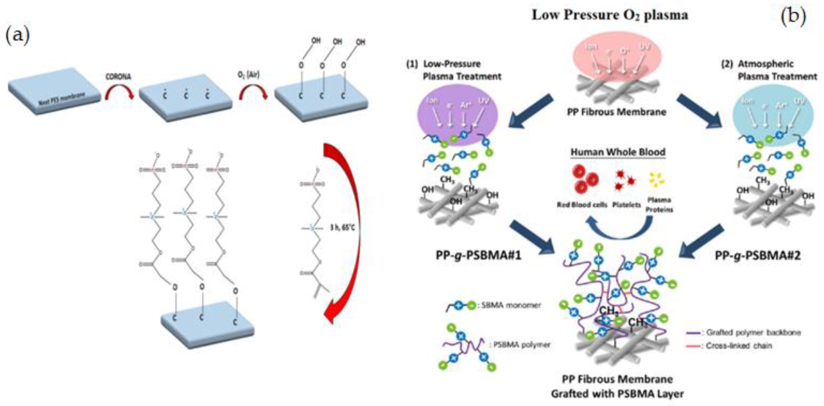 Membranes 12 01063 g014