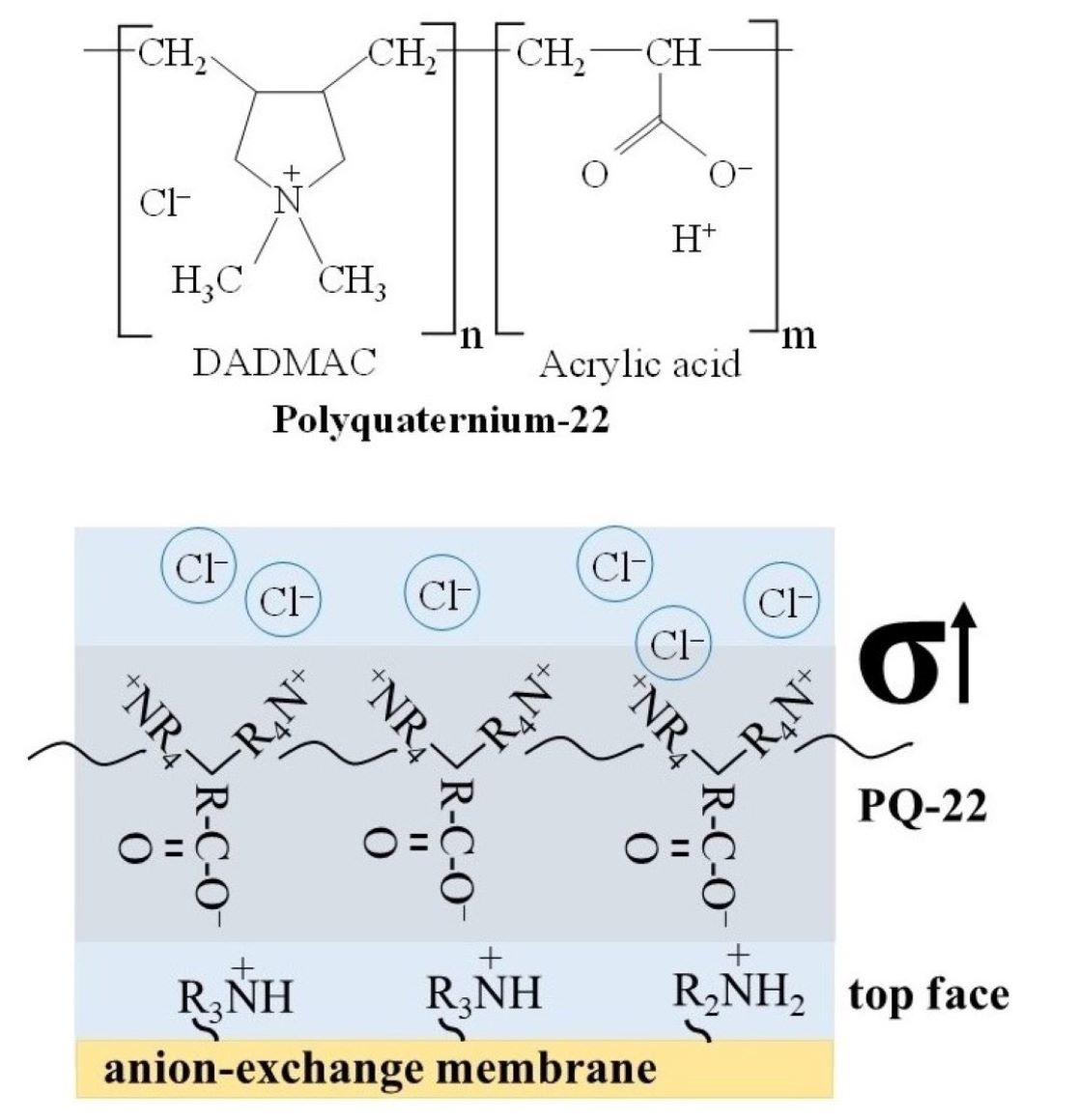 Membranes Free FullText Efficient AnionExchange Membranes with