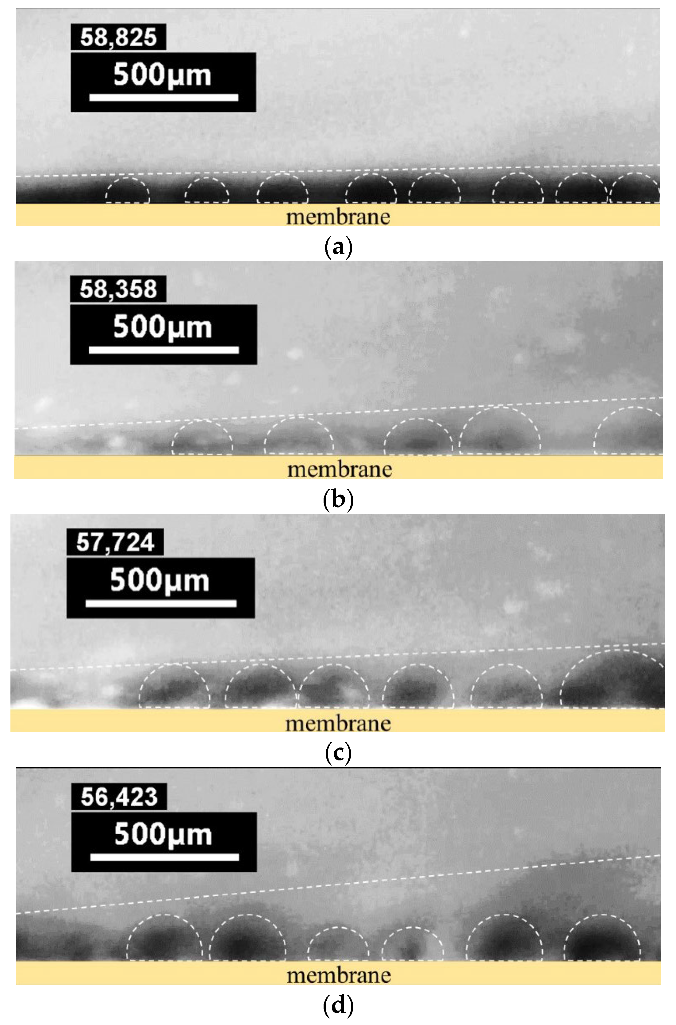 Membranes 12 01065 g008 Membranes 12 01065 g008