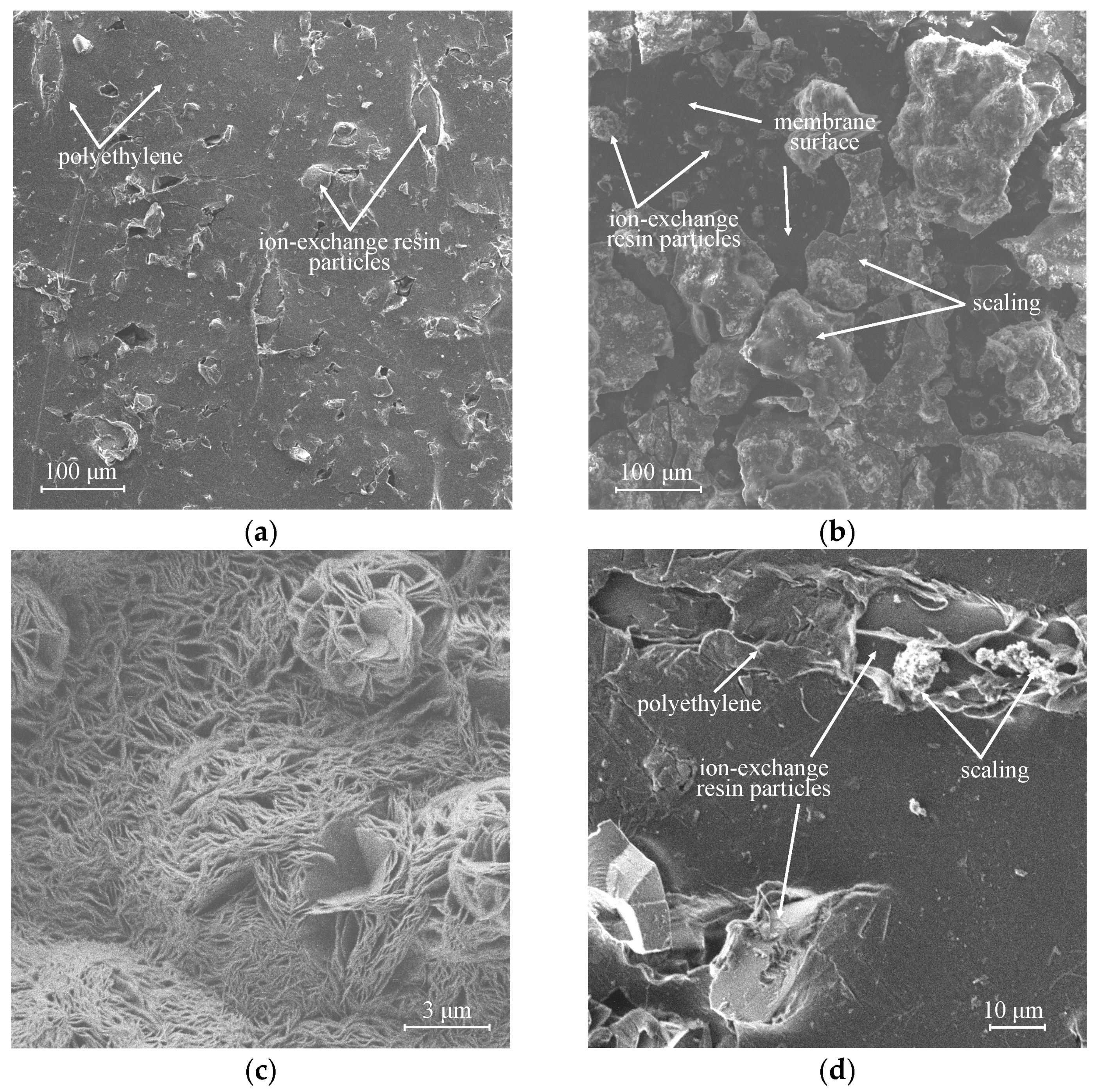 Membranes 12 01065 g010a Membranes 12 01065 g010a