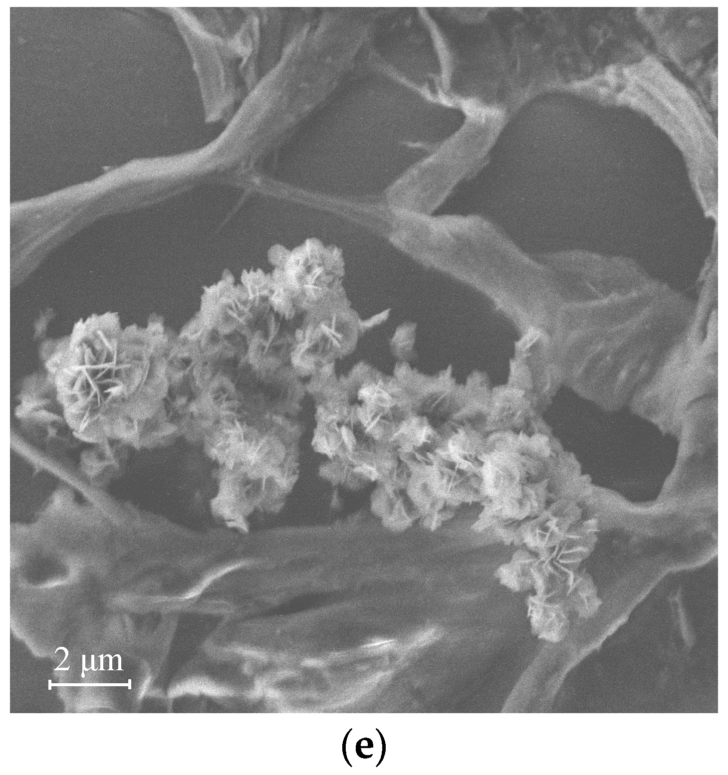 Membranes 12 01065 g010b Membranes 12 01065 g010b