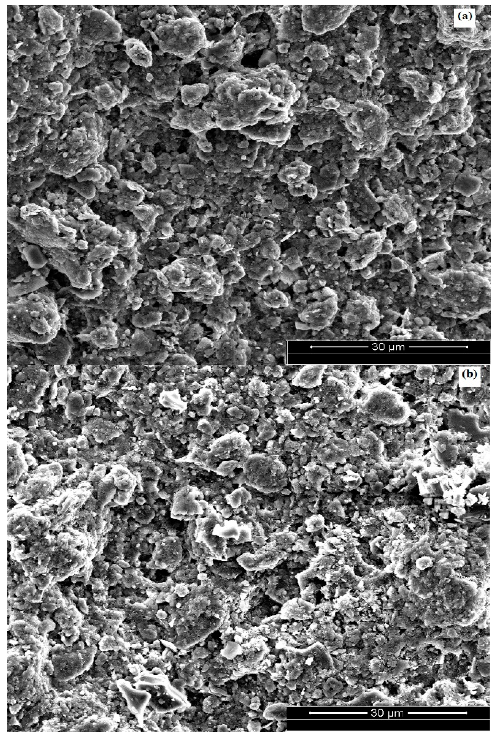 Membranes 12 01066 g001a Membranes 12 01066 g001a