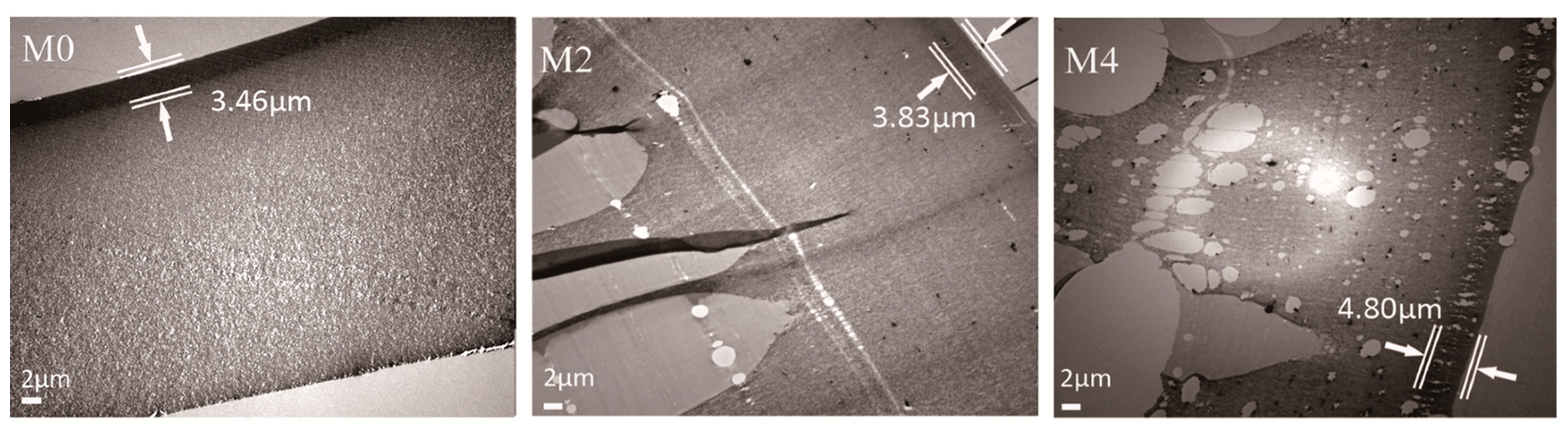 Membranes 12 01071 g005 Membranes 12 01071 g005