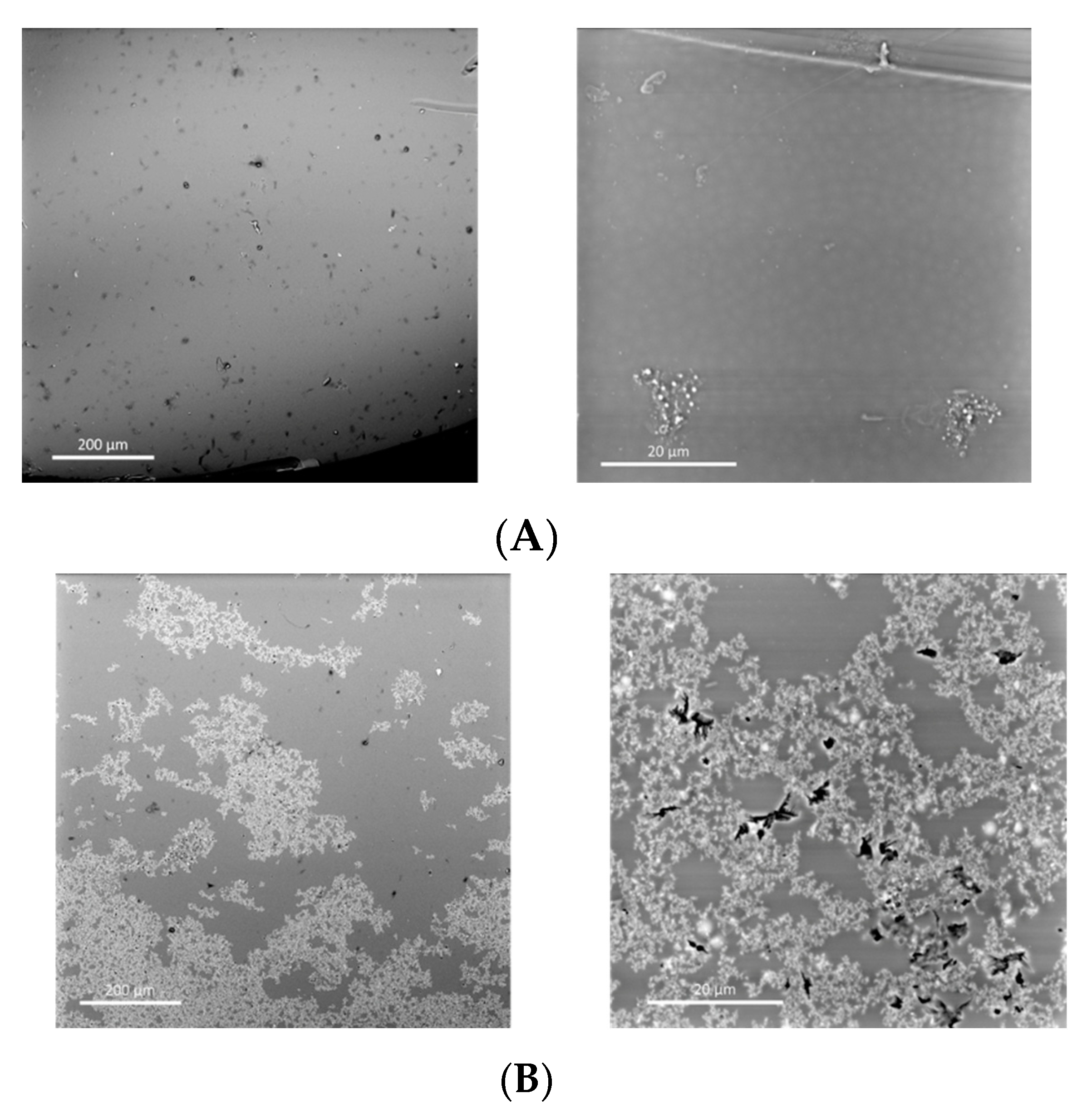 Membranes 12 01075 g013 Membranes 12 01075 g013