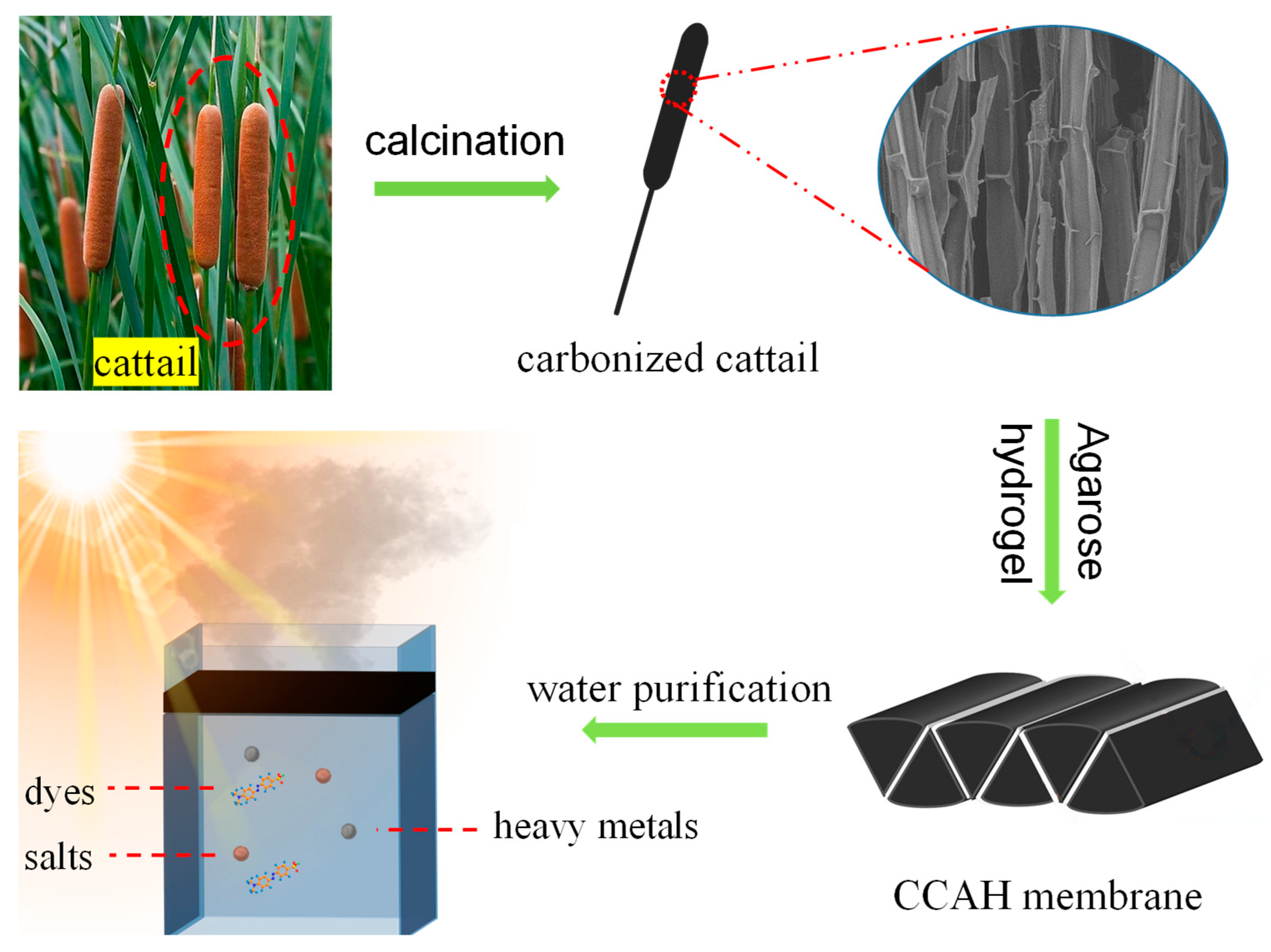 Membranes 12 01076 g001 Membranes 12 01076 g001
