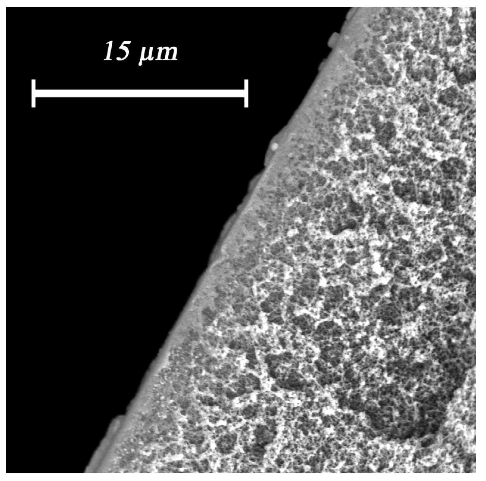 Membranes 12 01090 g010 Membranes 12 01090 g010
