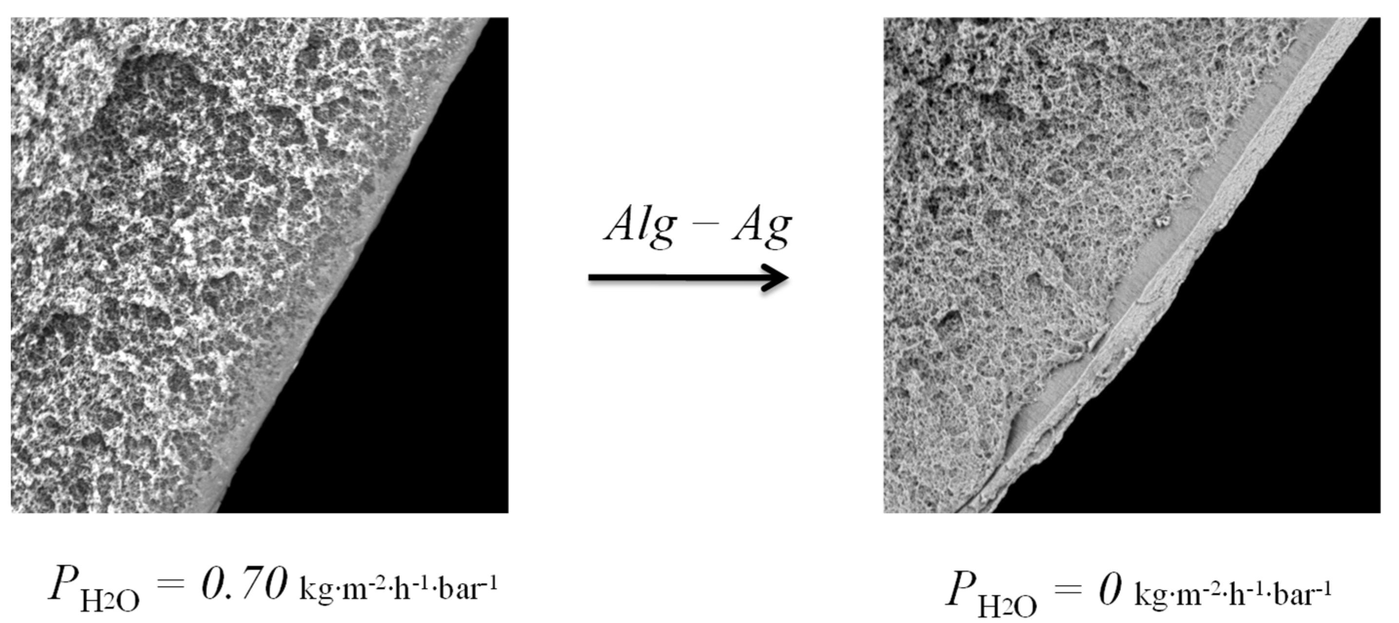 Membranes 12 01090 g011 Membranes 12 01090 g011