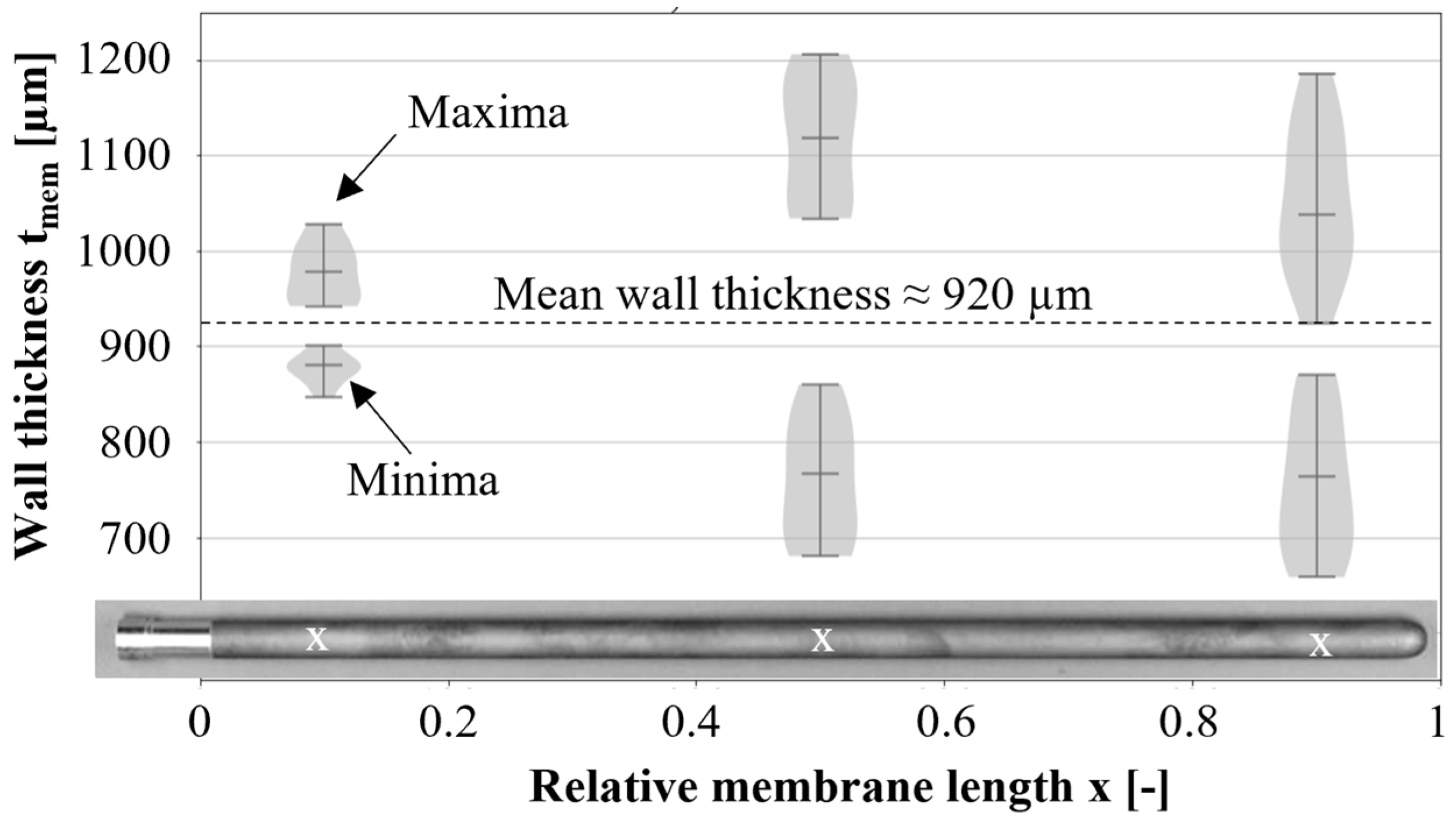 Membranes 12 01093 g001 Membranes 12 01093 g001