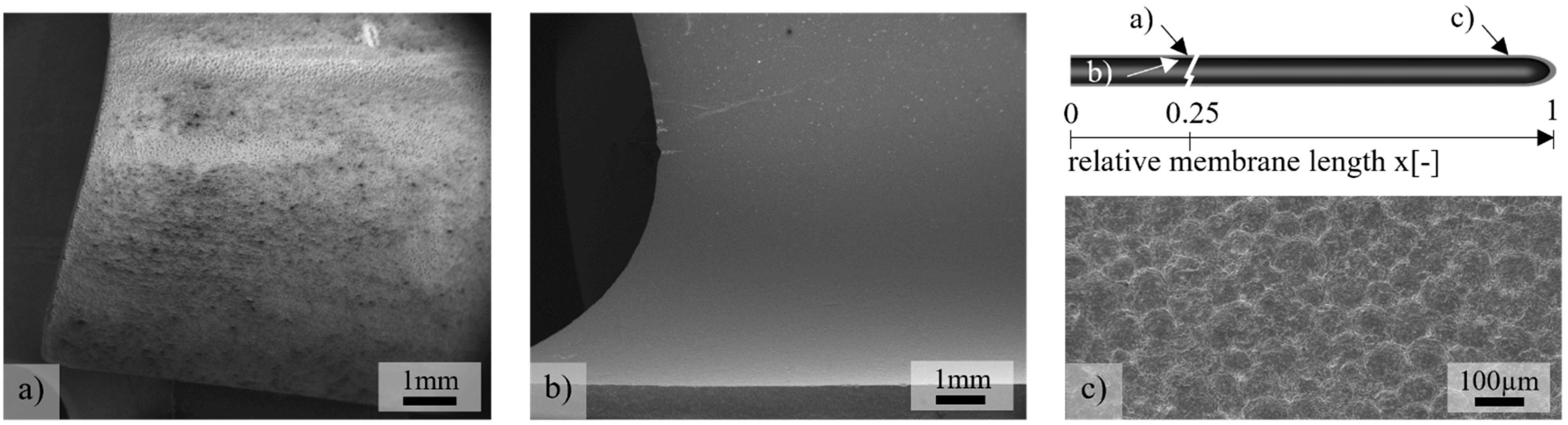 Membranes 12 01093 g005 Membranes 12 01093 g005