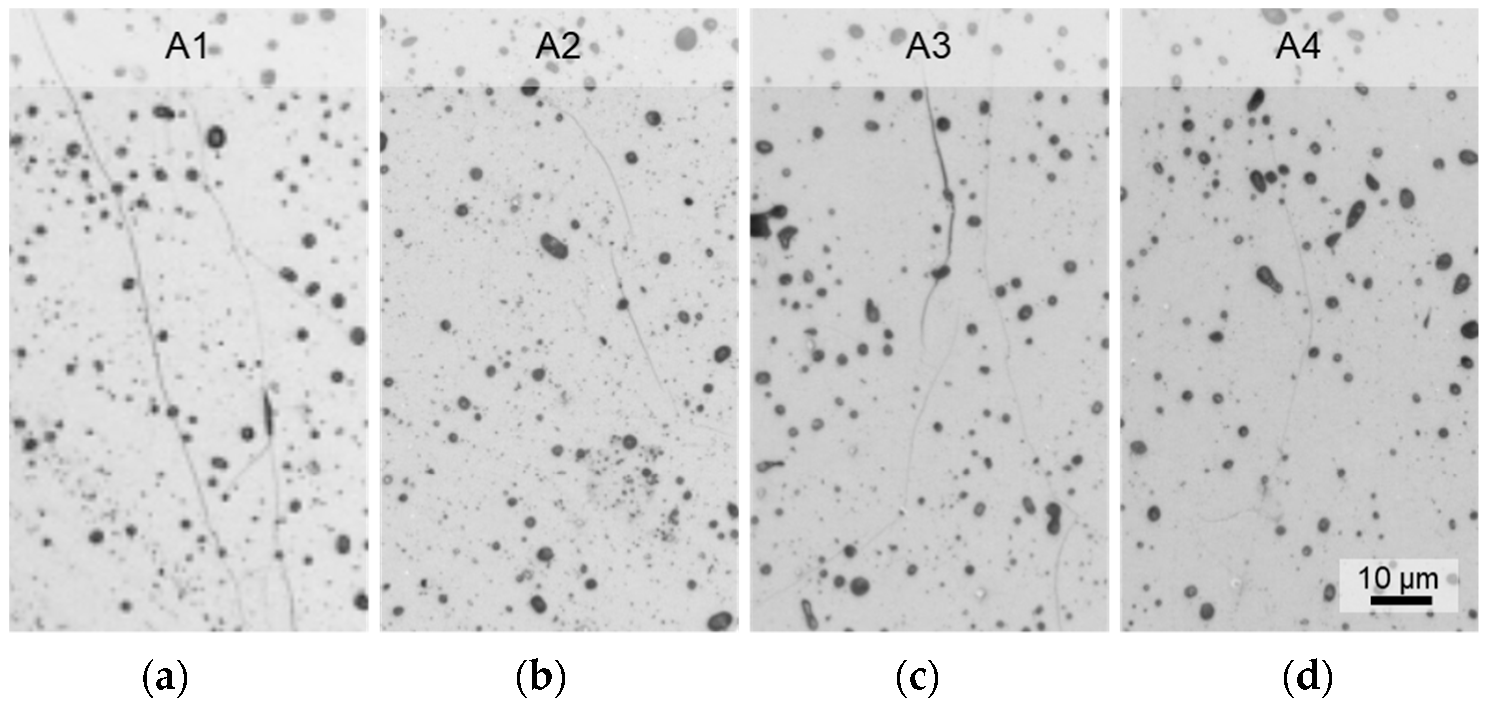 Membranes 12 01093 g0a3 Membranes 12 01093 g0a3