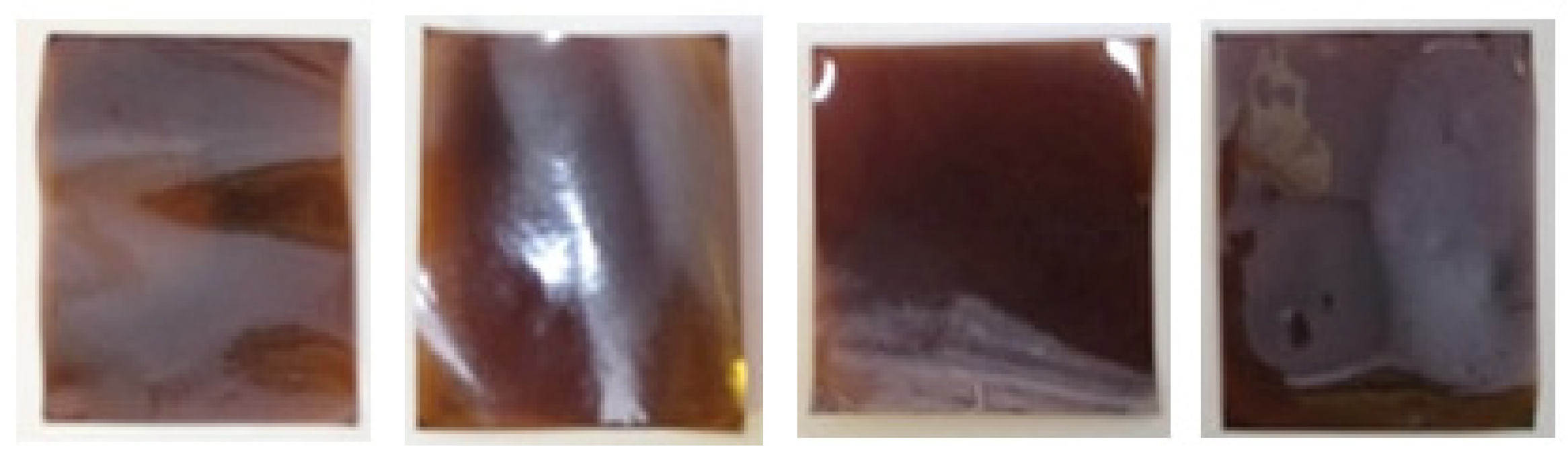 Membranes 12 01095 g001