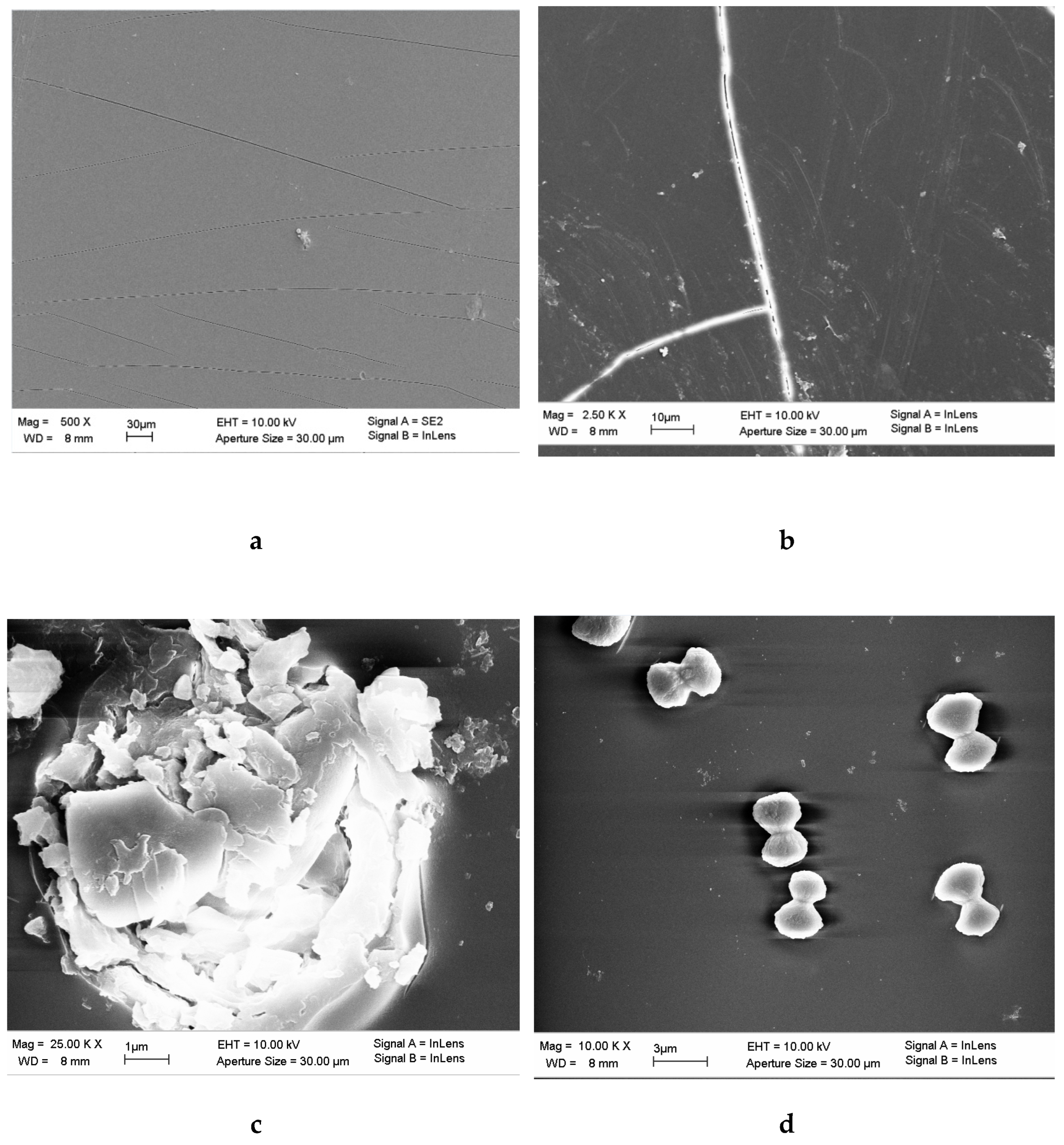 Membranes 12 01095 g006
