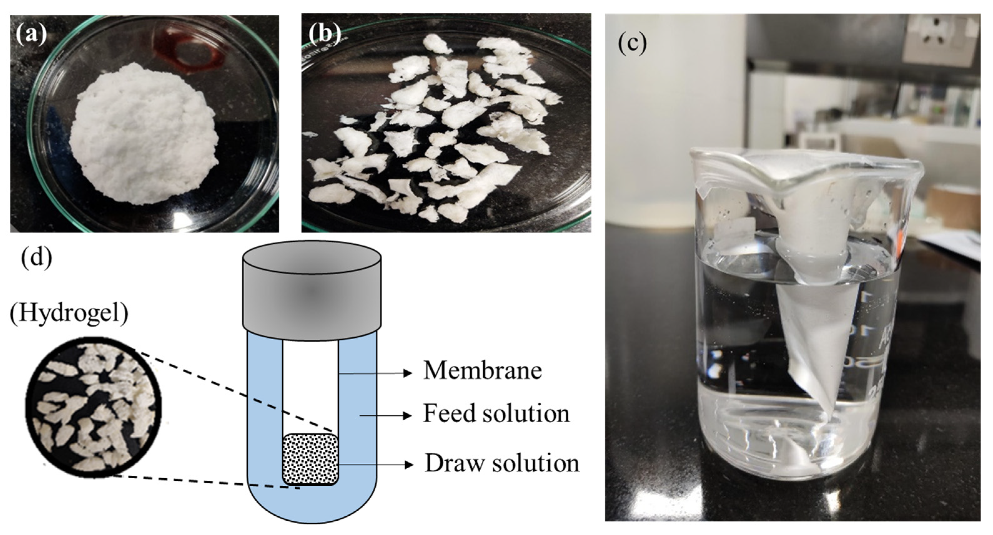 Membranes 12 01097 g003