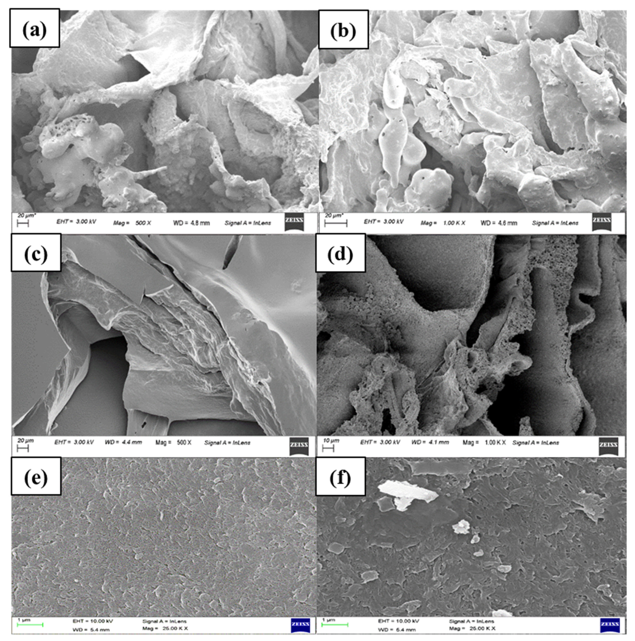 Membranes 12 01097 g004