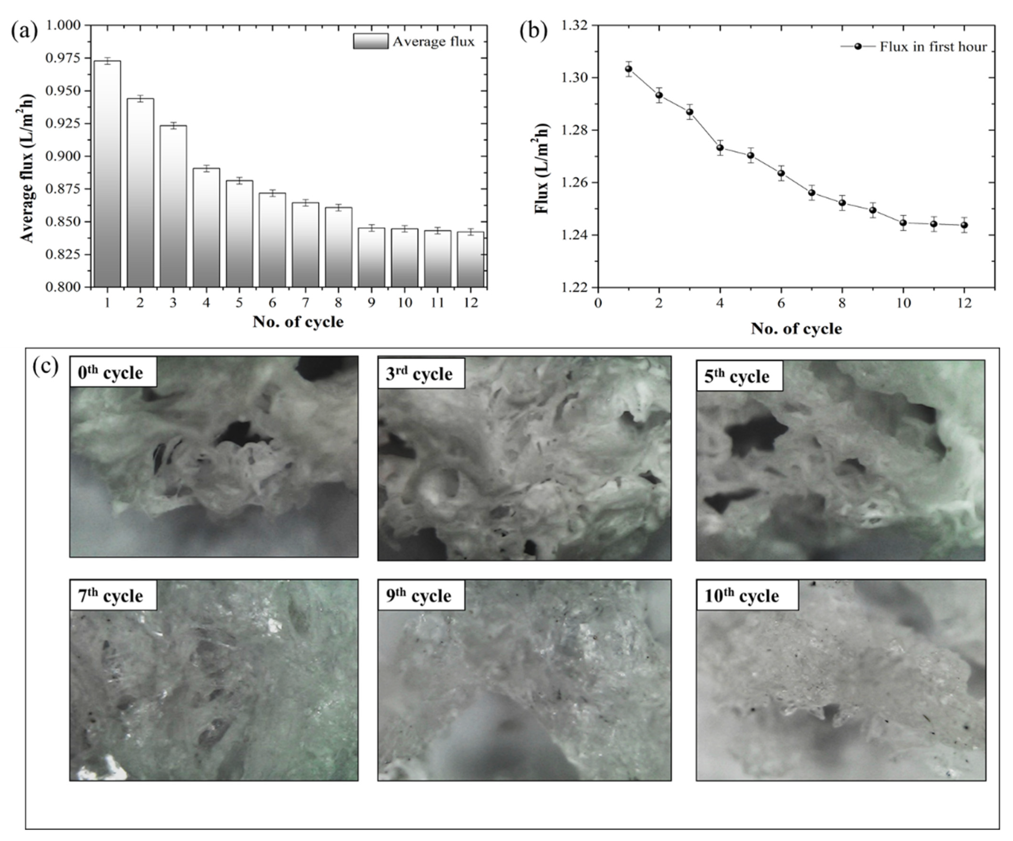 Membranes 12 01097 g007