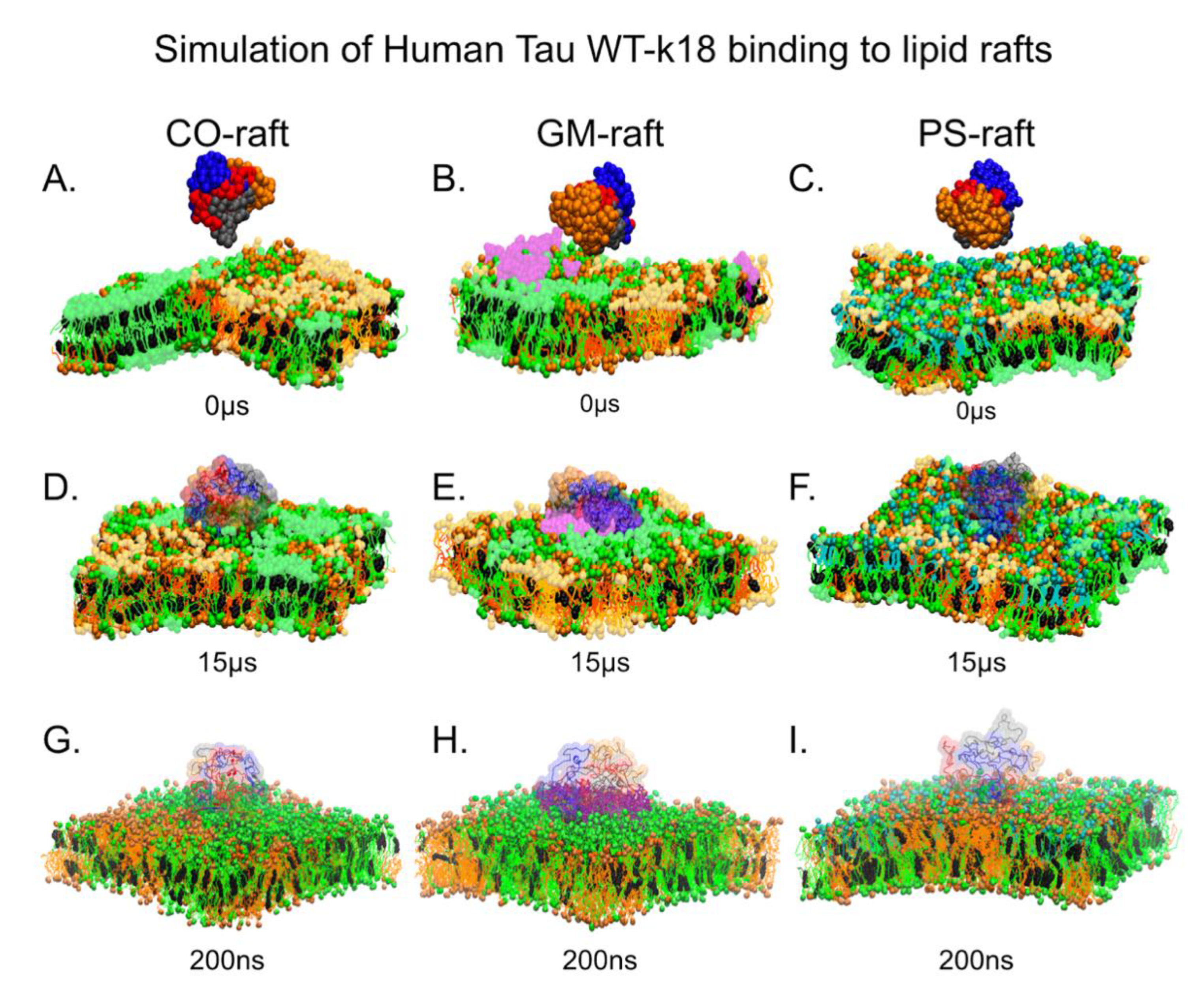 Membranes 12 01098 g002