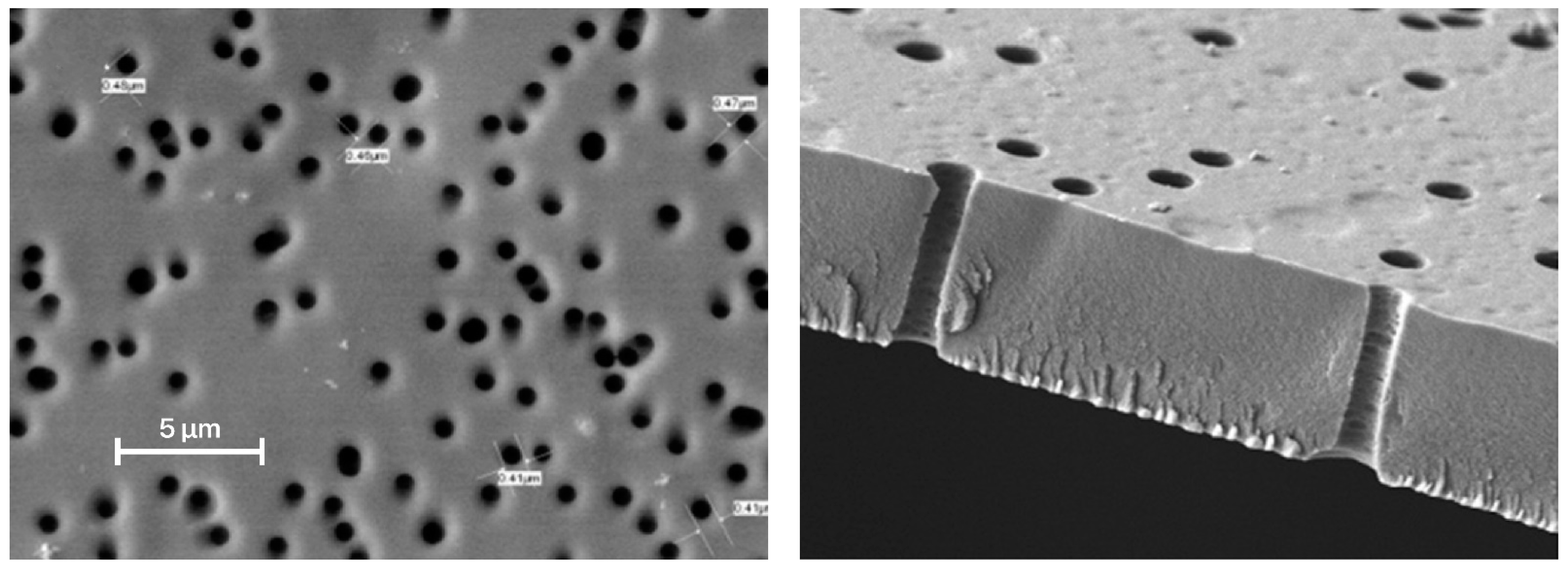 Membranes 12 01105 g005