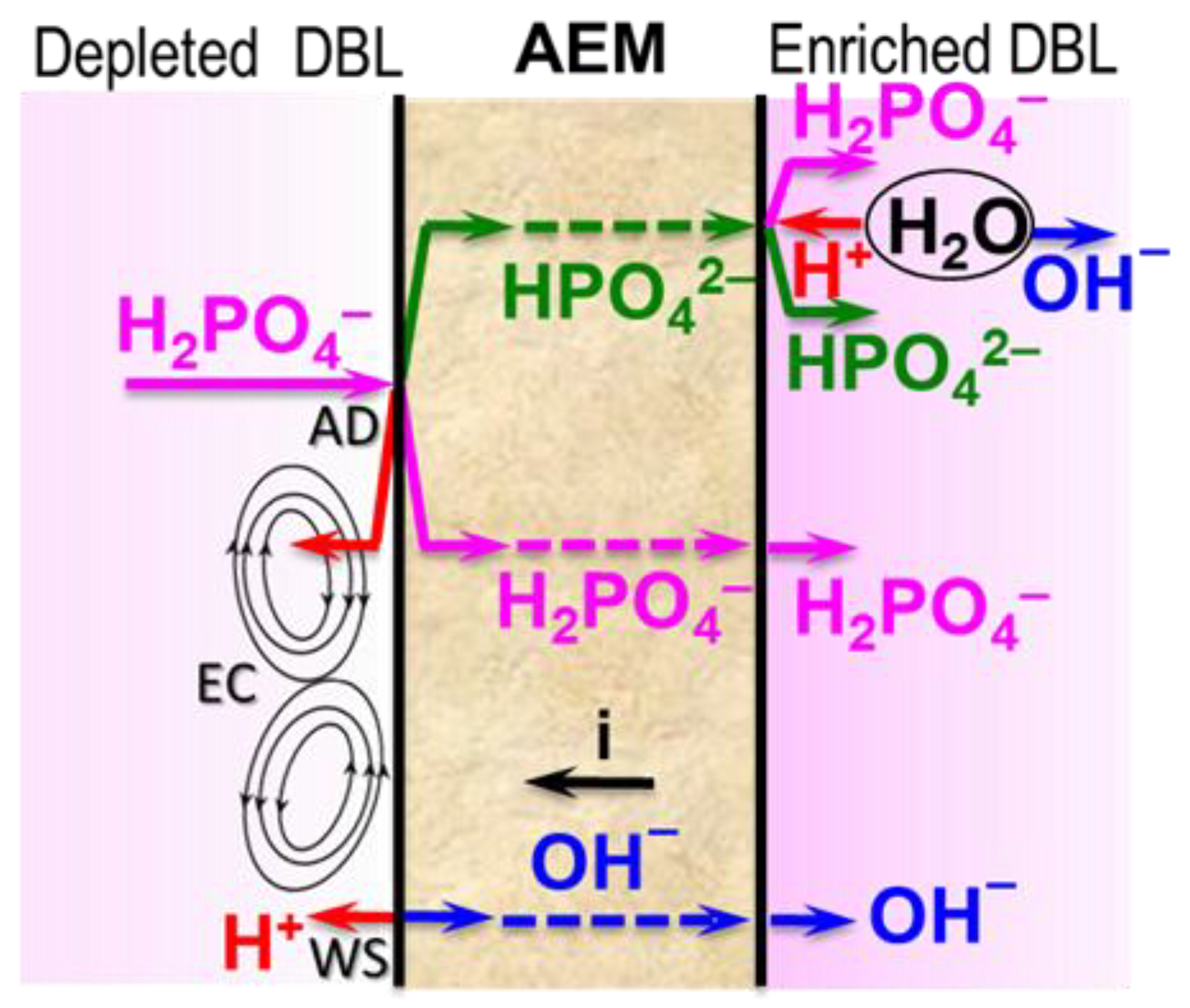 Membranes 12 01107 g005 Membranes 12 01107 g005