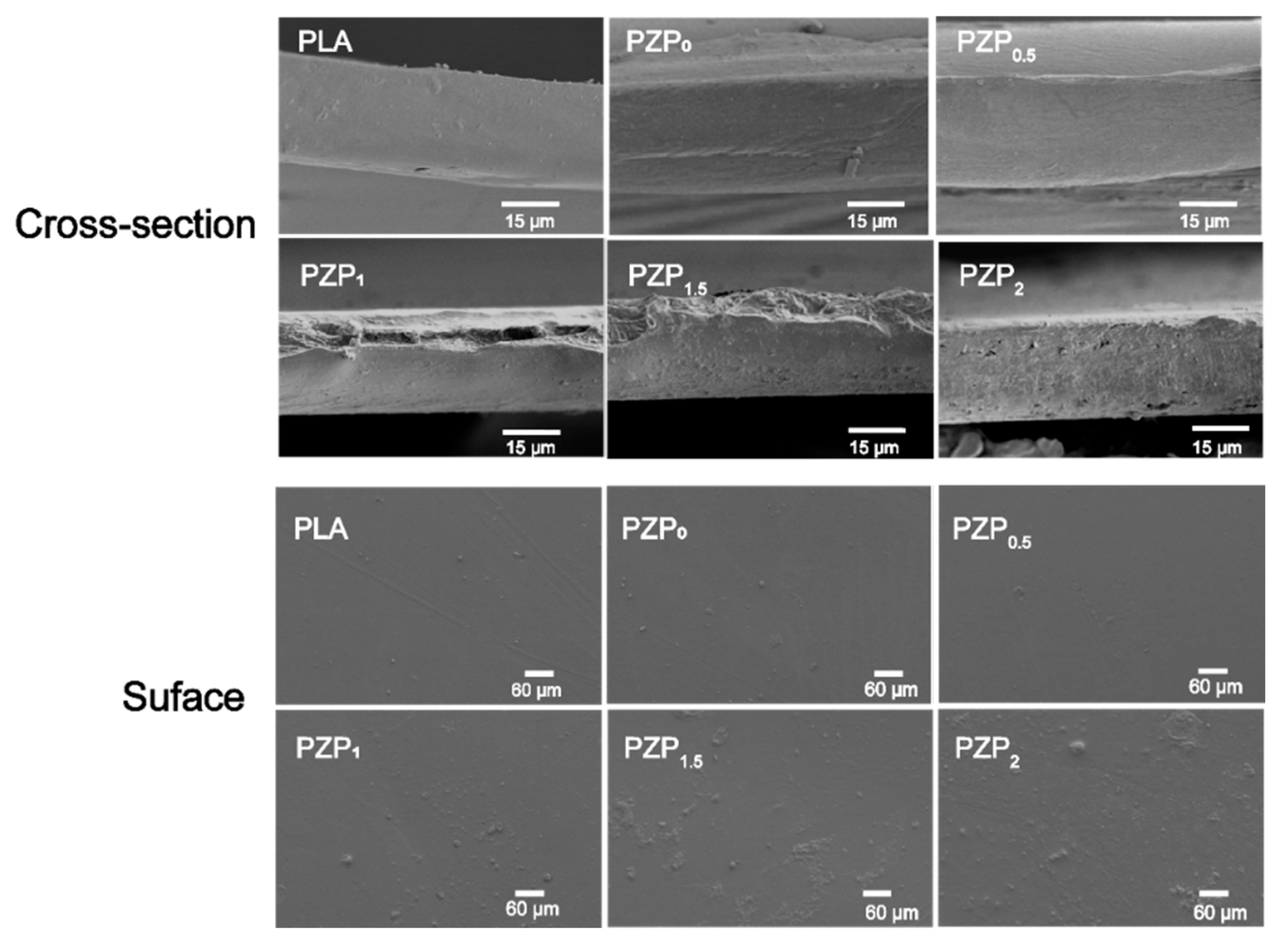 Membranes 12 01108 g001 Membranes 12 01108 g001