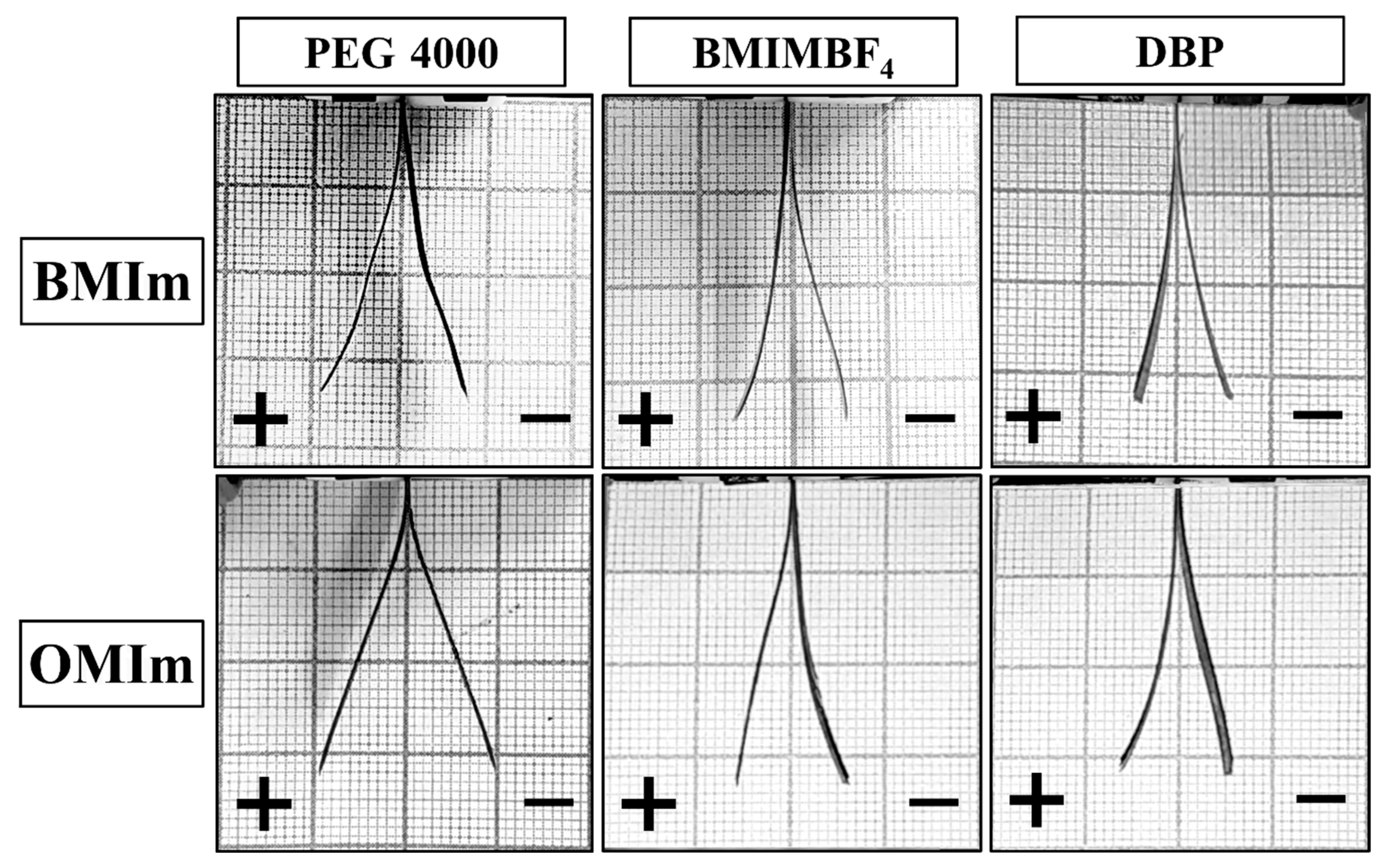 Membranes 12 01110 g007