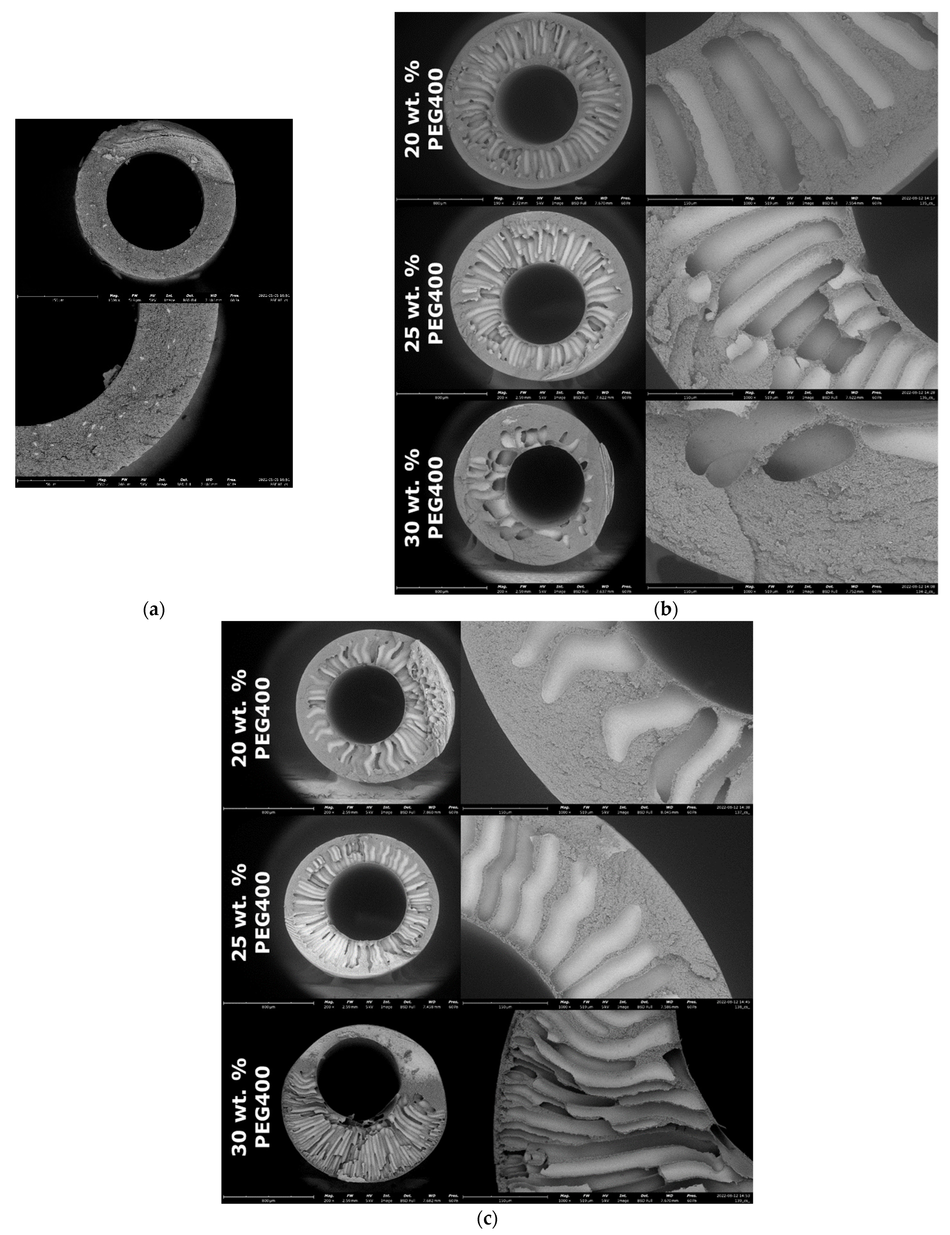 Membranes 12 01113 g007 Membranes 12 01113 g007