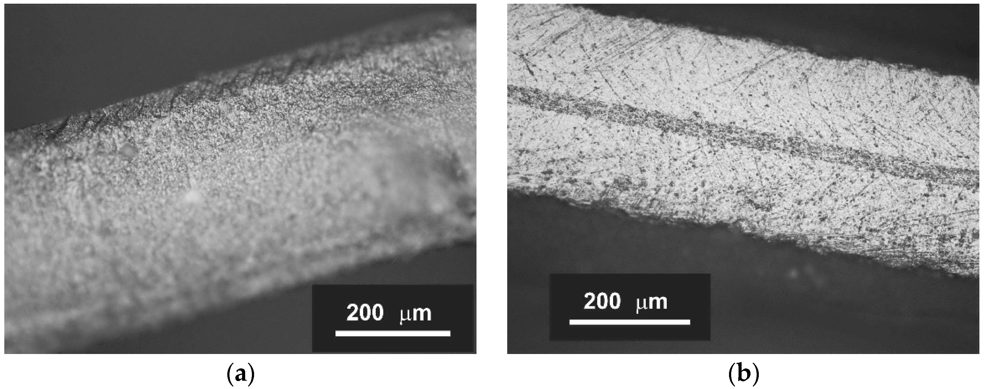 Membranes 12 01114 g003