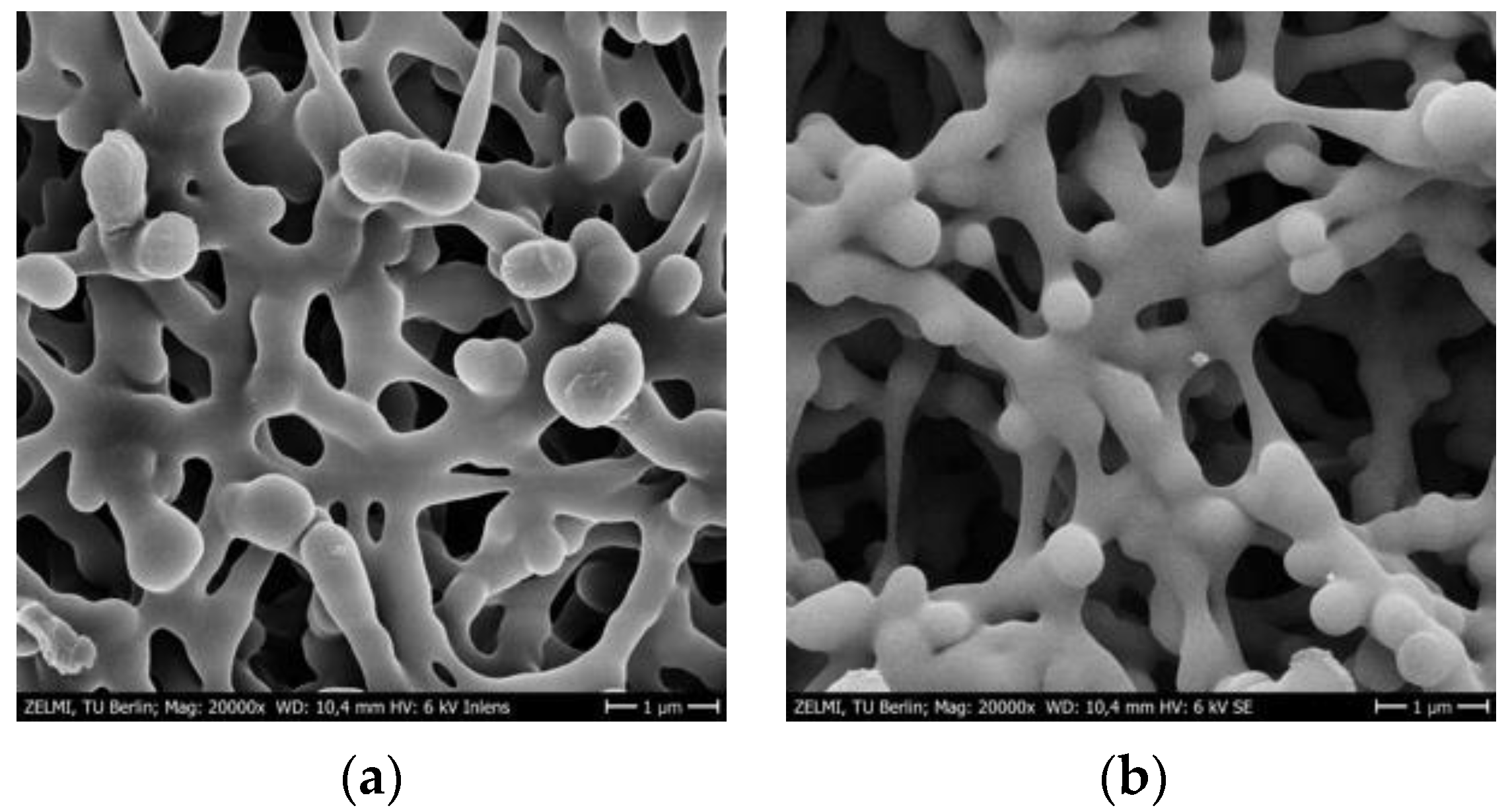 Membranes 12 01117 g007 Membranes 12 01117 g007