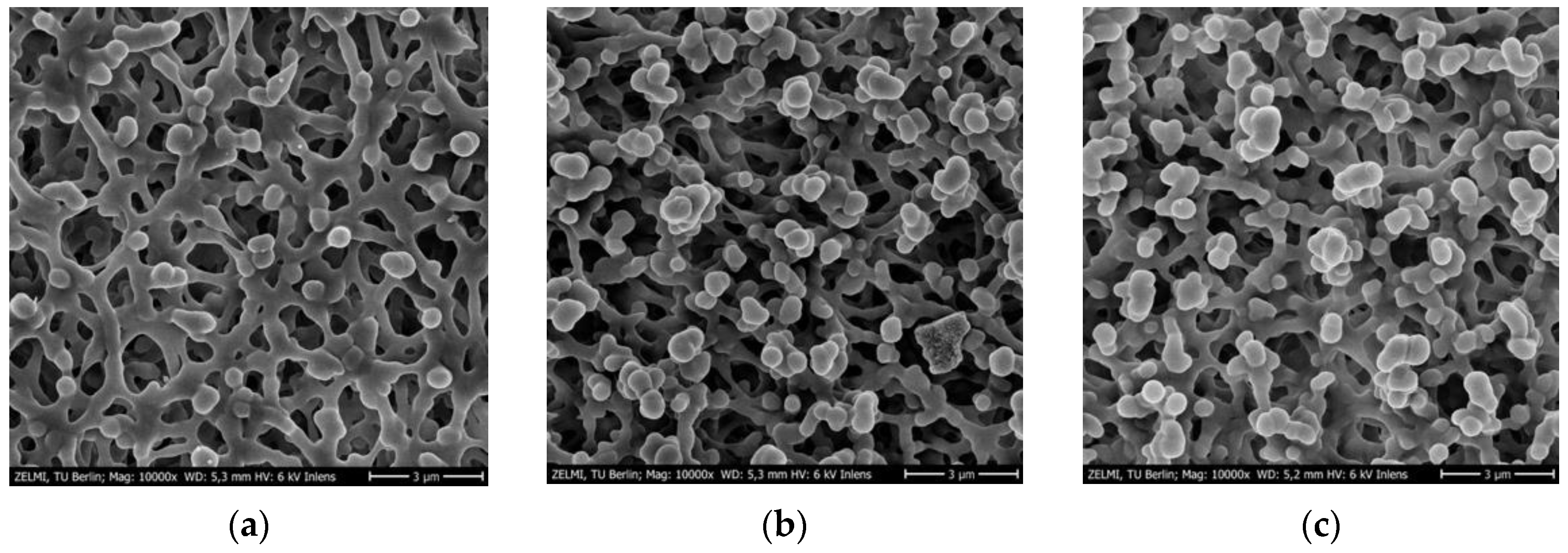 Membranes 12 01117 g009 Membranes 12 01117 g009