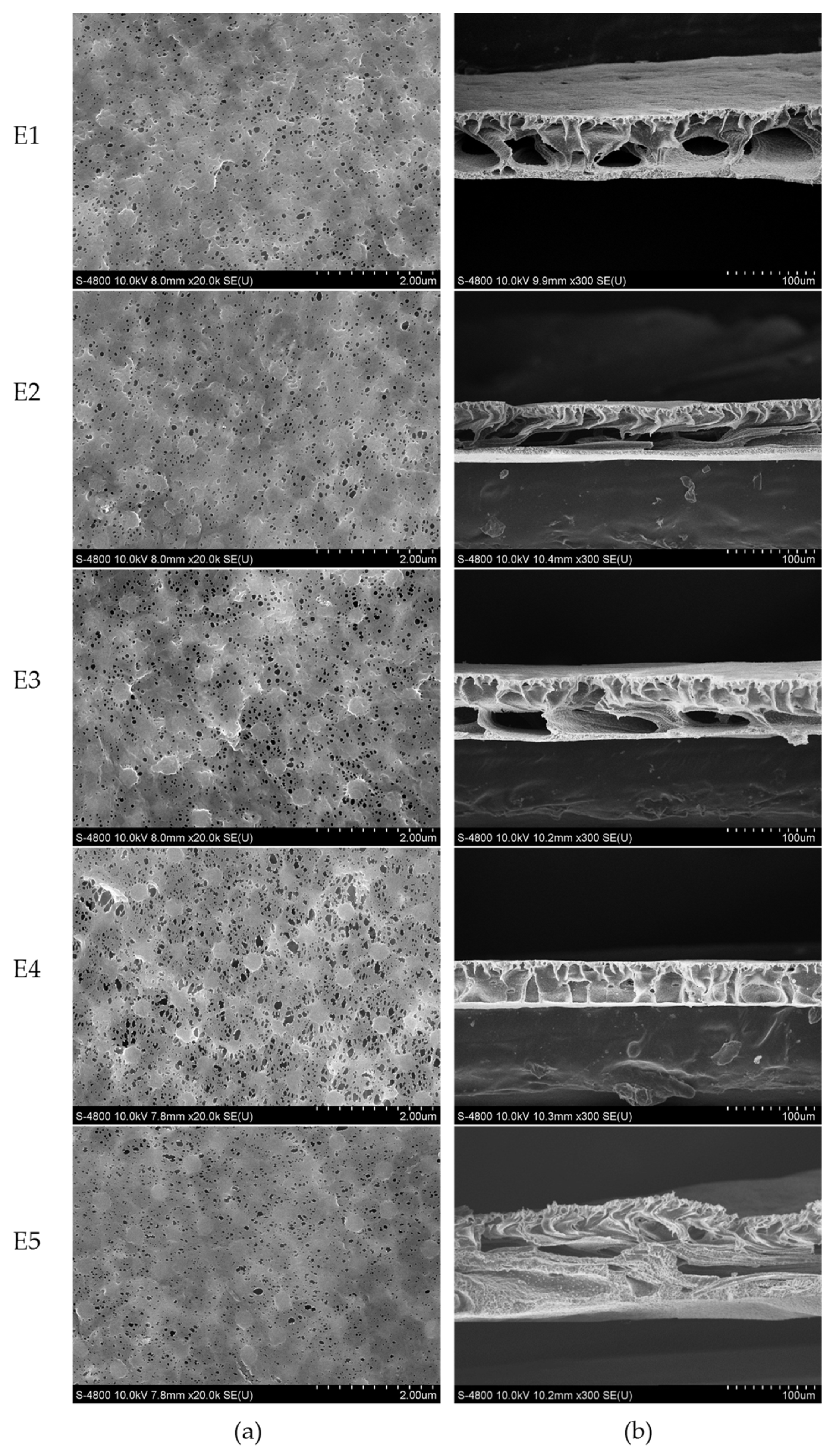 Membranes 12 01118 g003 Membranes 12 01118 g003